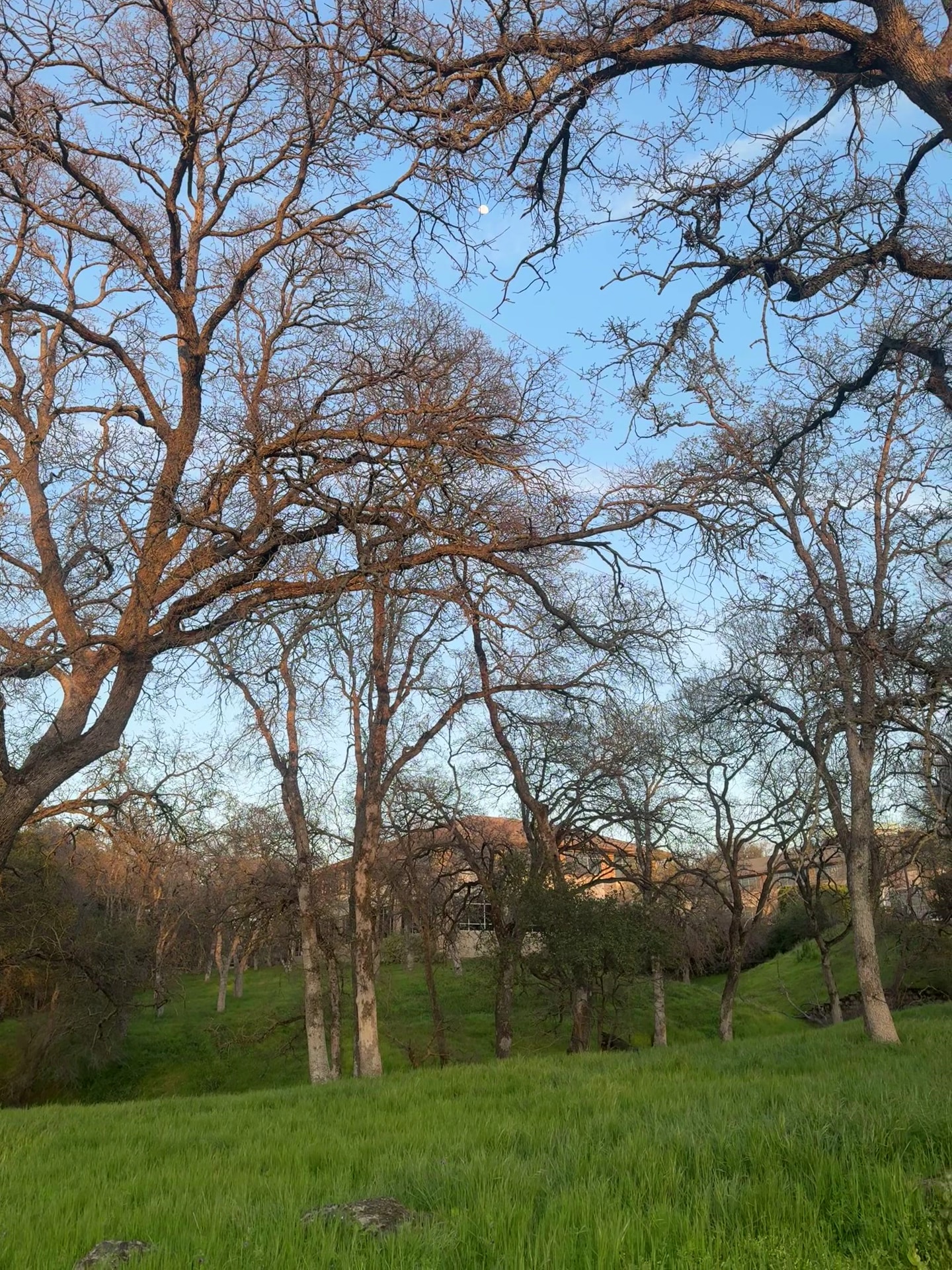 Miner's Ravine Trailhead - Roseville, CA