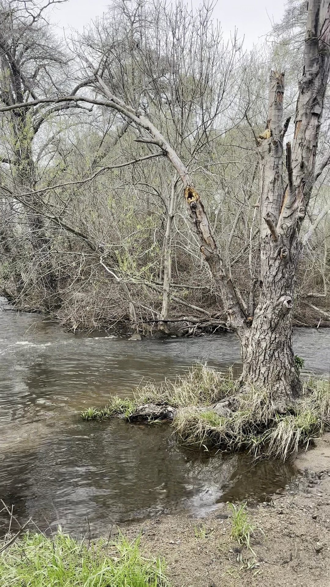 Miner's Ravine Trailhead - Roseville, CA