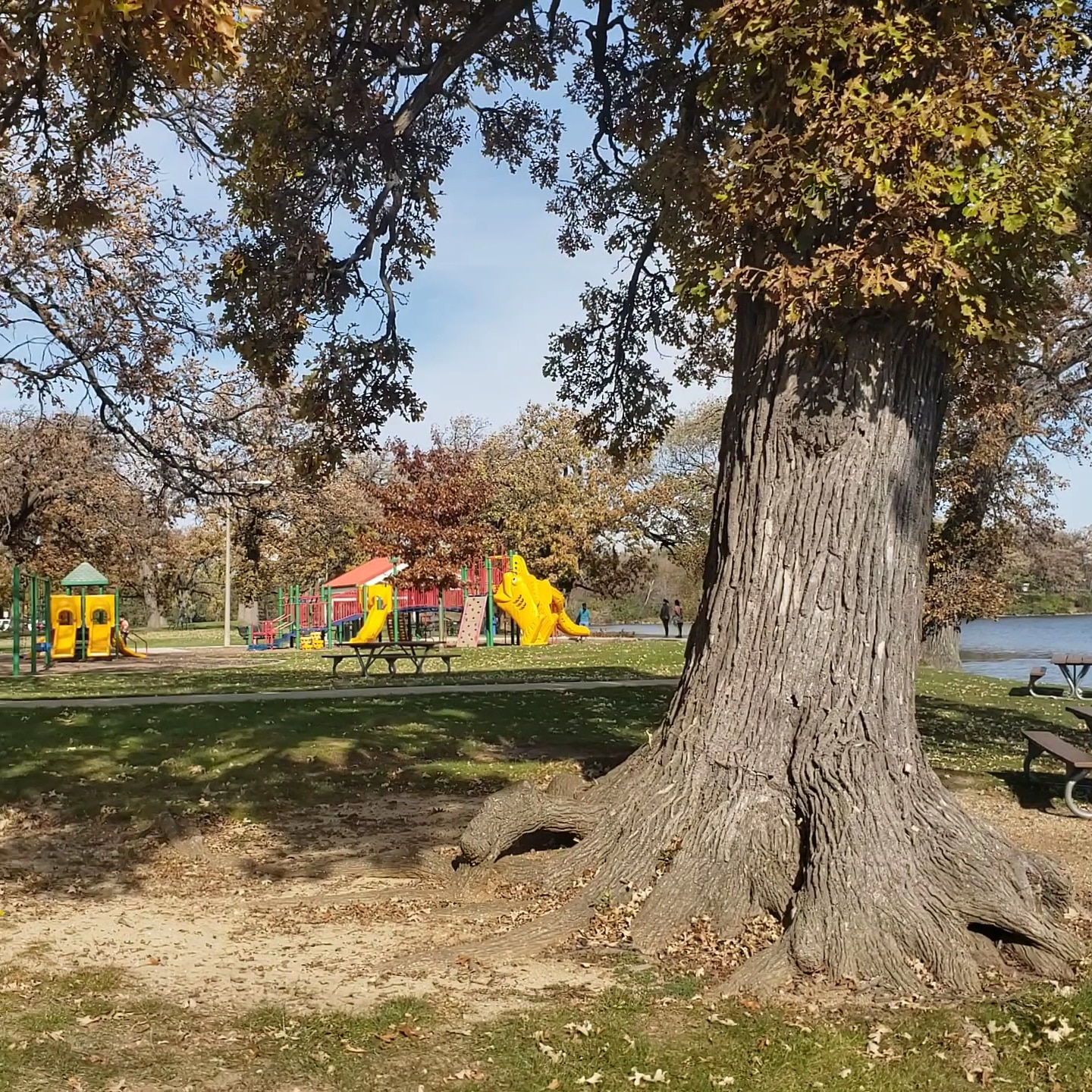 Lakefront Park - Round Lake Beach, IL
