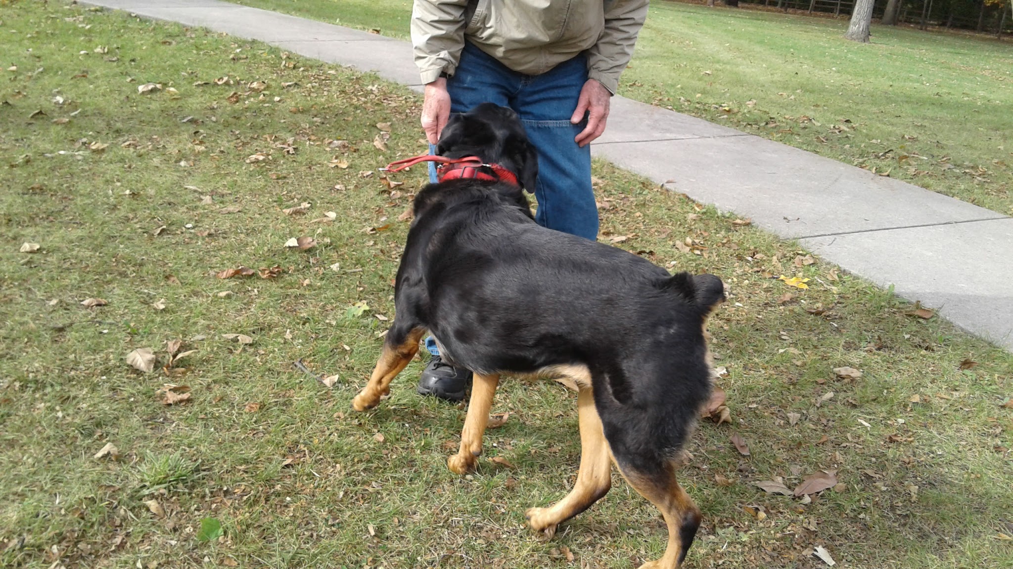 Bright Meadows Park - Round Lake Area Park District - Round Lake, IL