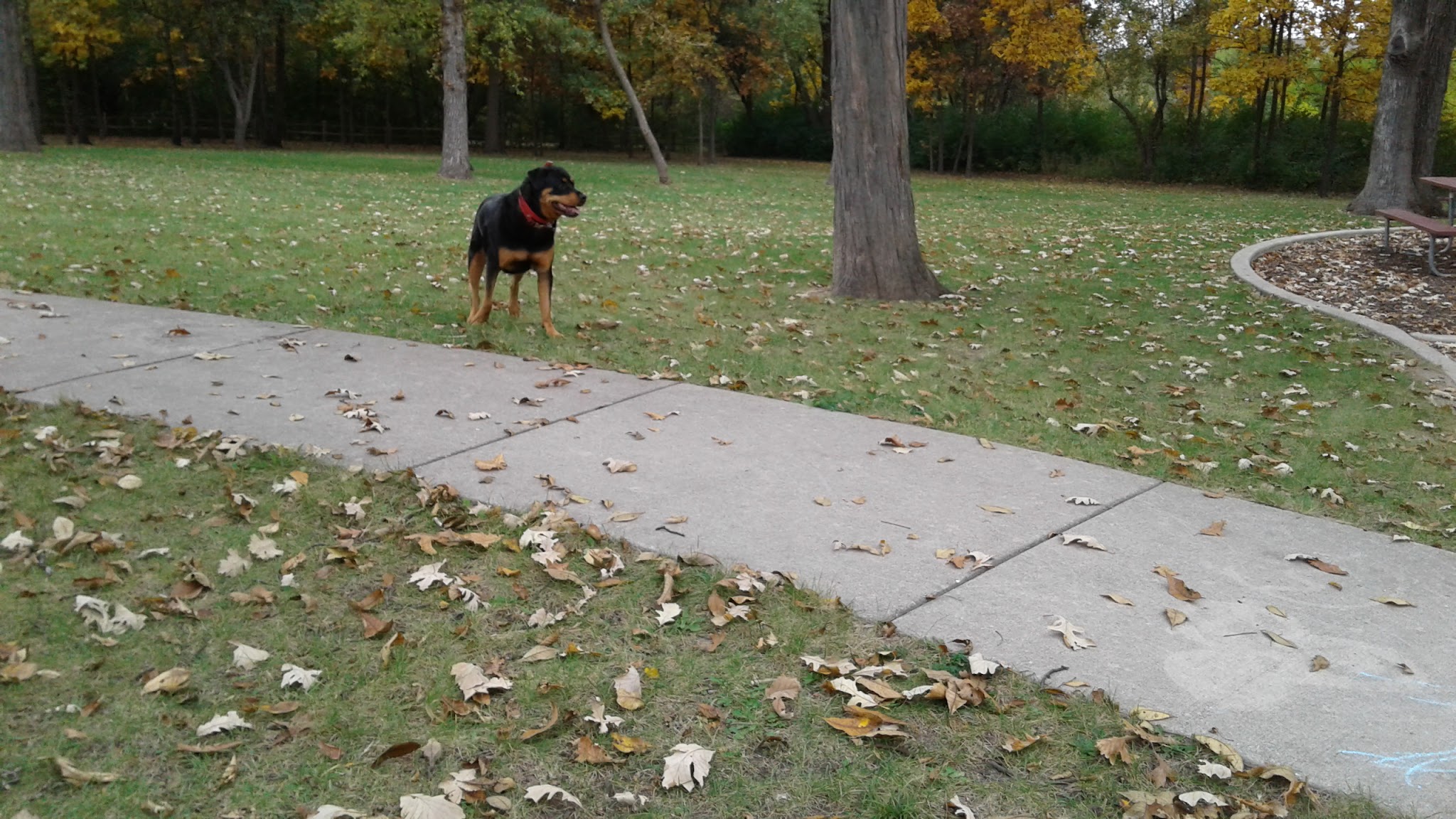 Bright Meadows Park - Round Lake Area Park District - Round Lake, IL