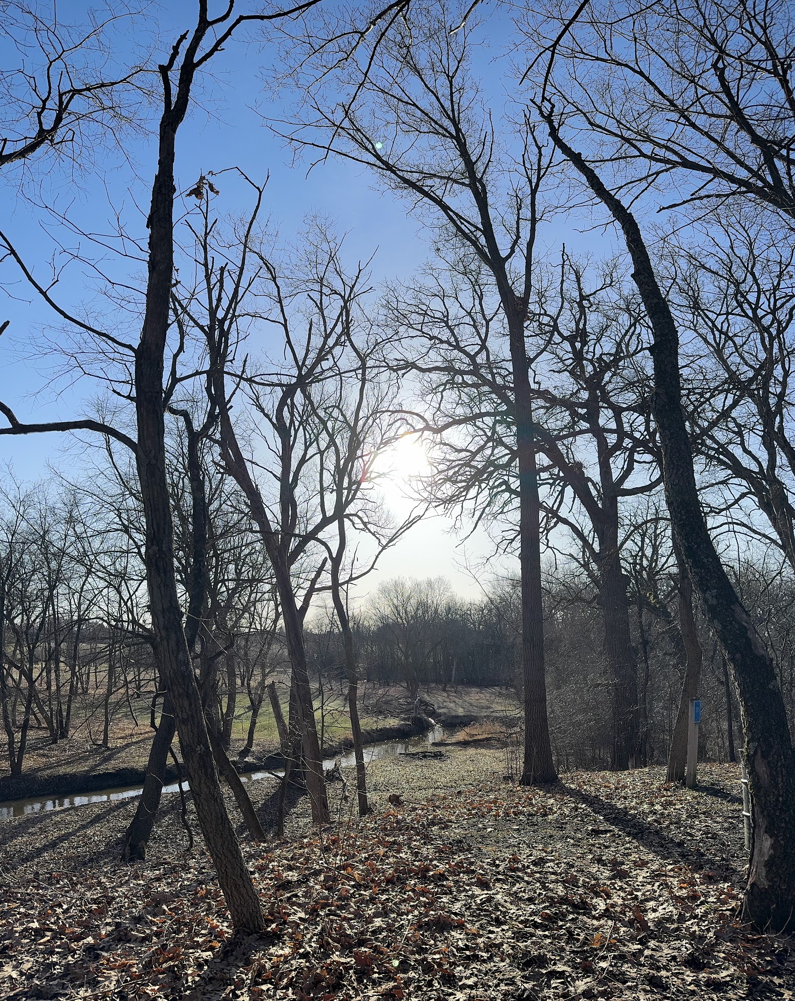 Fairfield Park - Round Lake Area Park District - Round Lake, IL