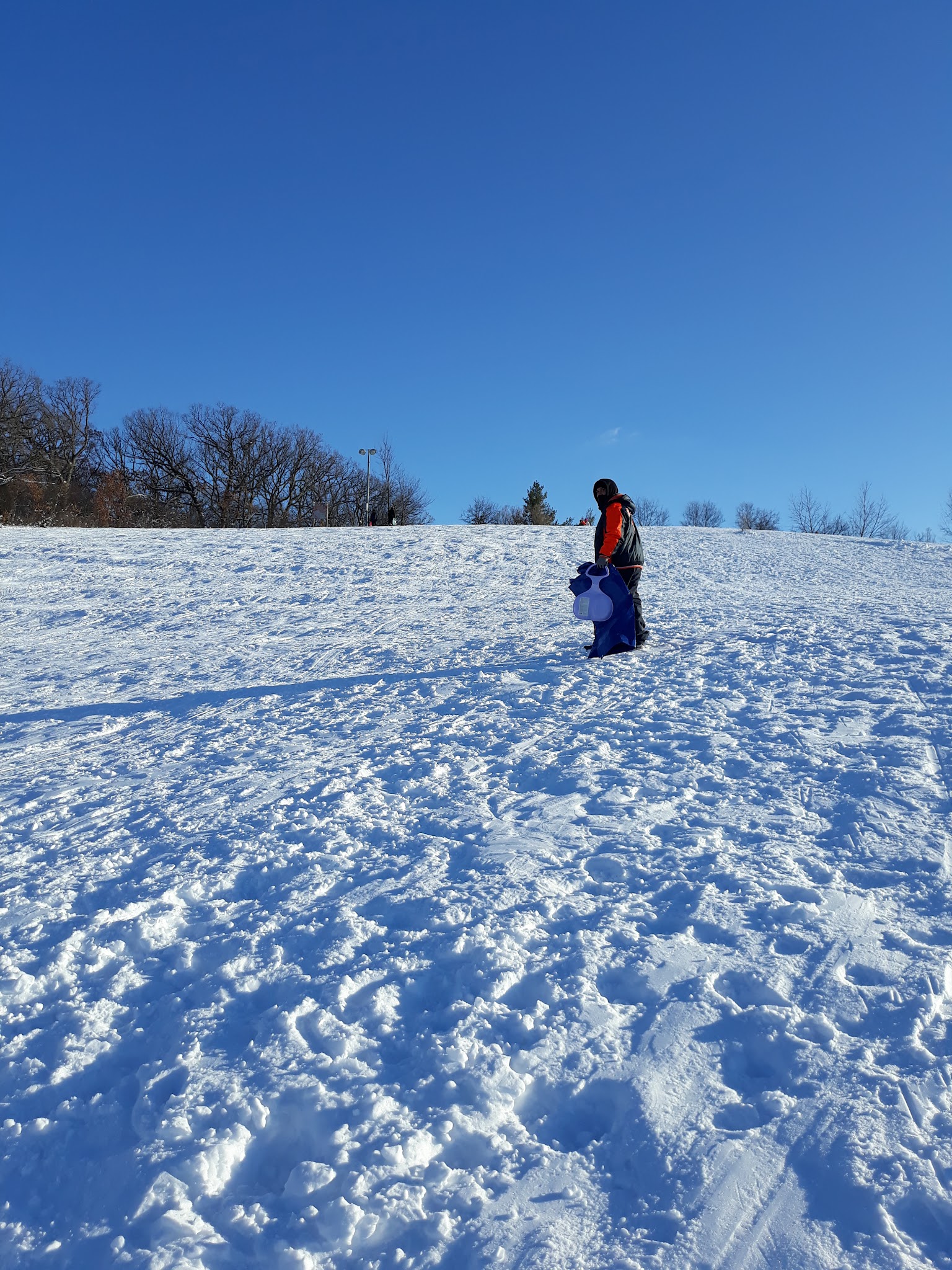 Hart's Hill Park - Round Lake Area Park District - Round Lake, IL