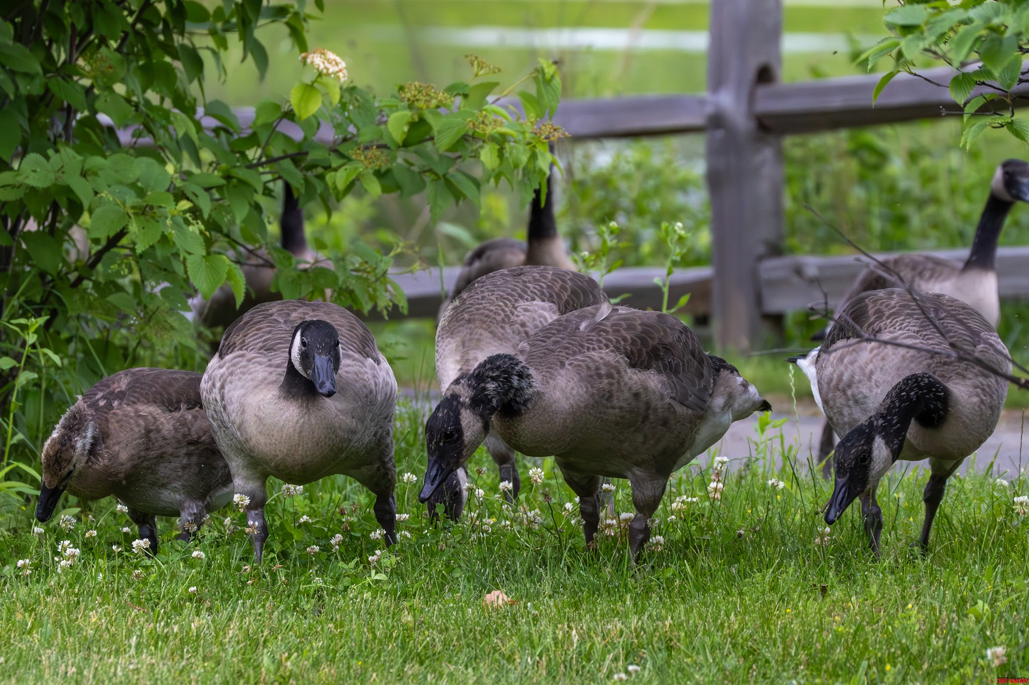 Parkside Park - Round Lake Area Park District - Round Lake, IL