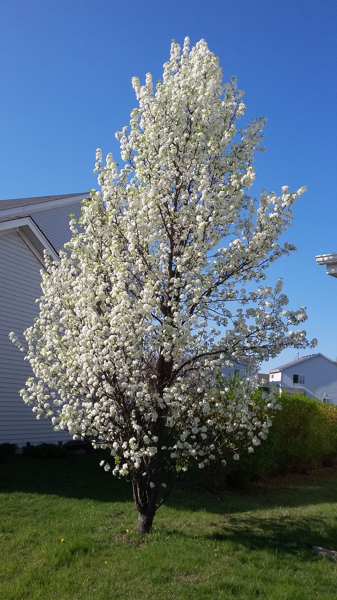 Raymond Park - Round Lake Area Park District - Round Lake, IL