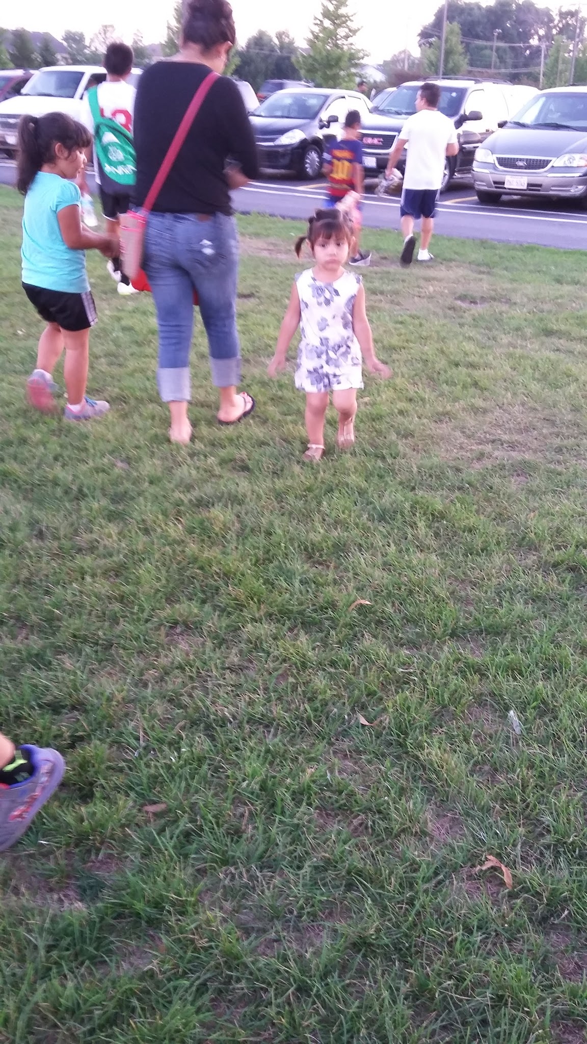 Townline Park - Round Lake Area Park District - Round Lake, IL