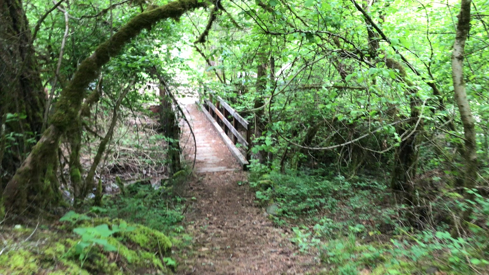 Madrone Campground - Round Mountain, CA