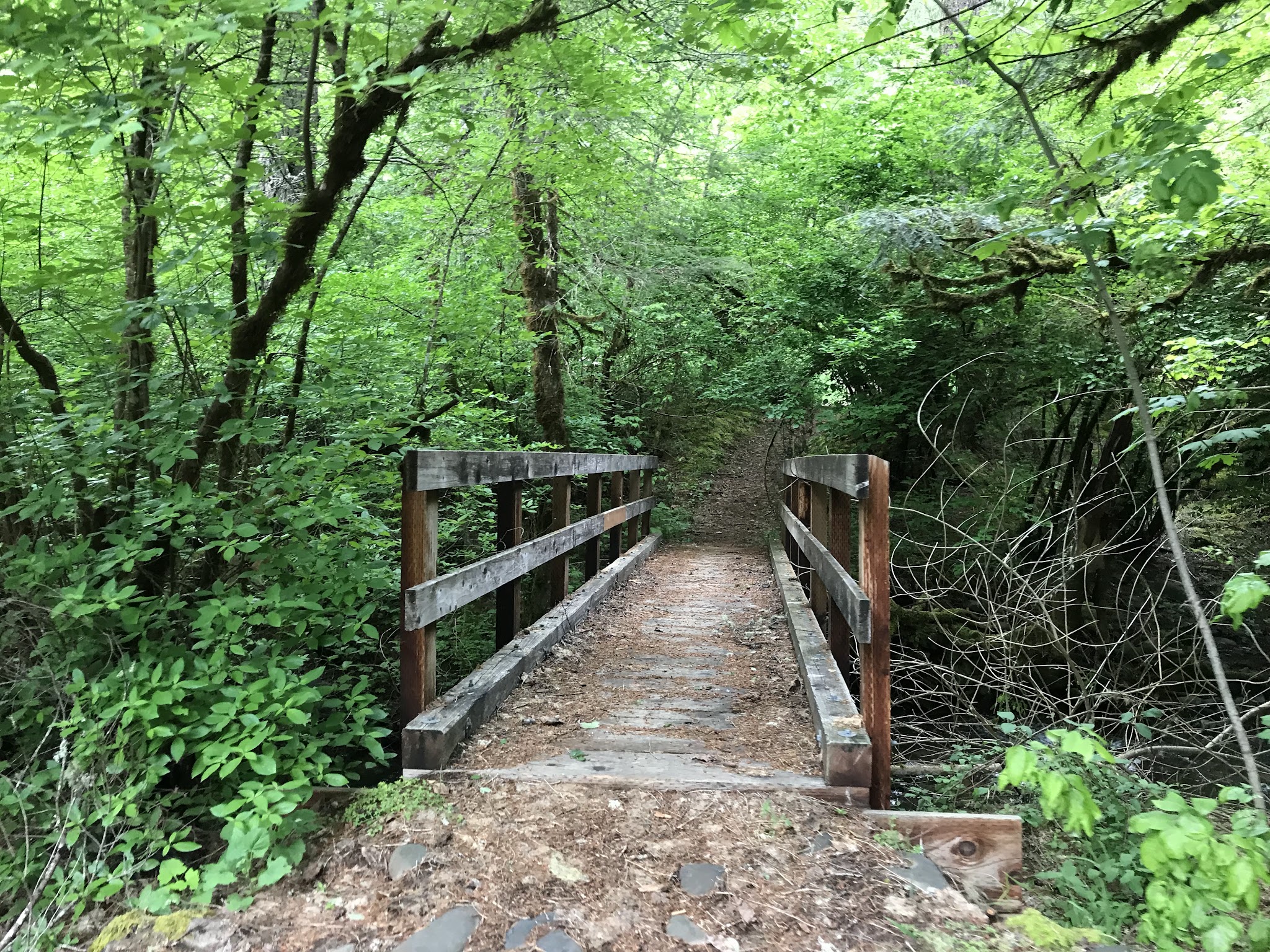 Madrone Campground - Round Mountain, CA
