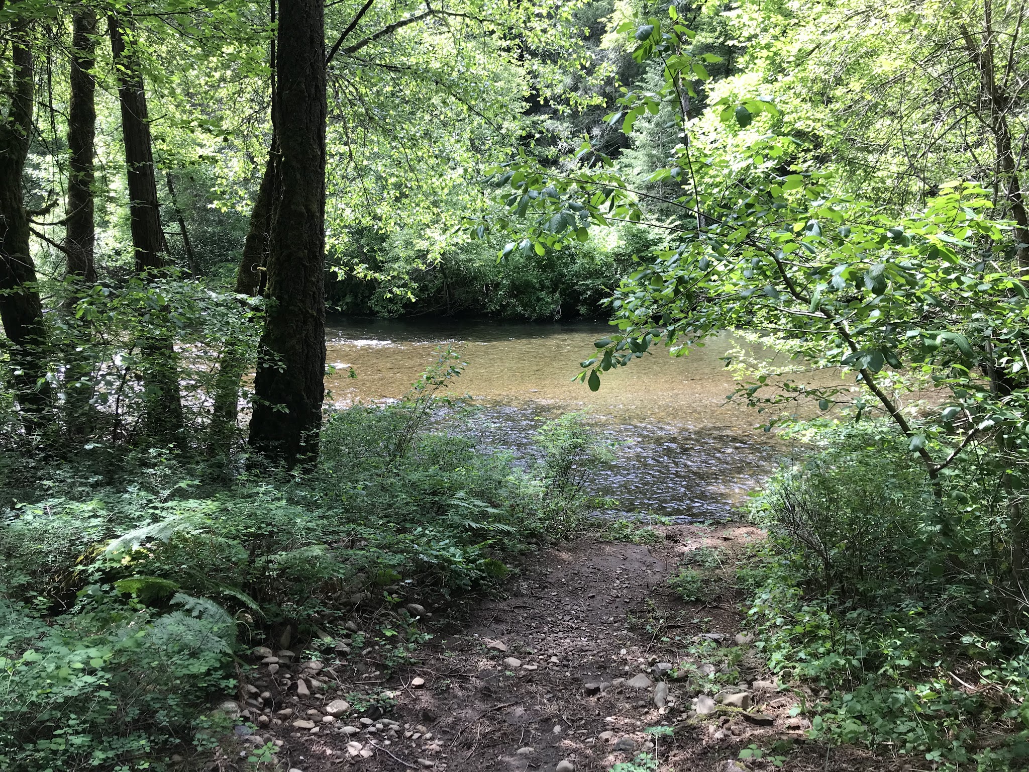 Madrone Campground - Round Mountain, CA