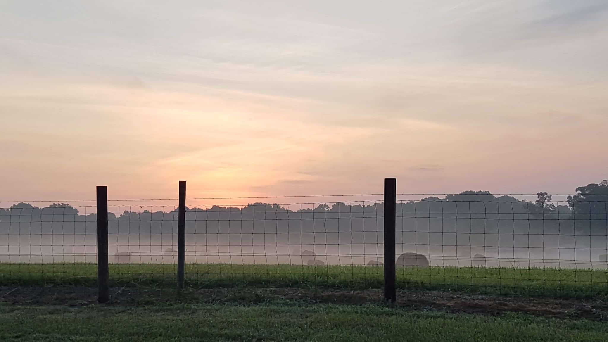 Allensville Park - Roxboro, NC