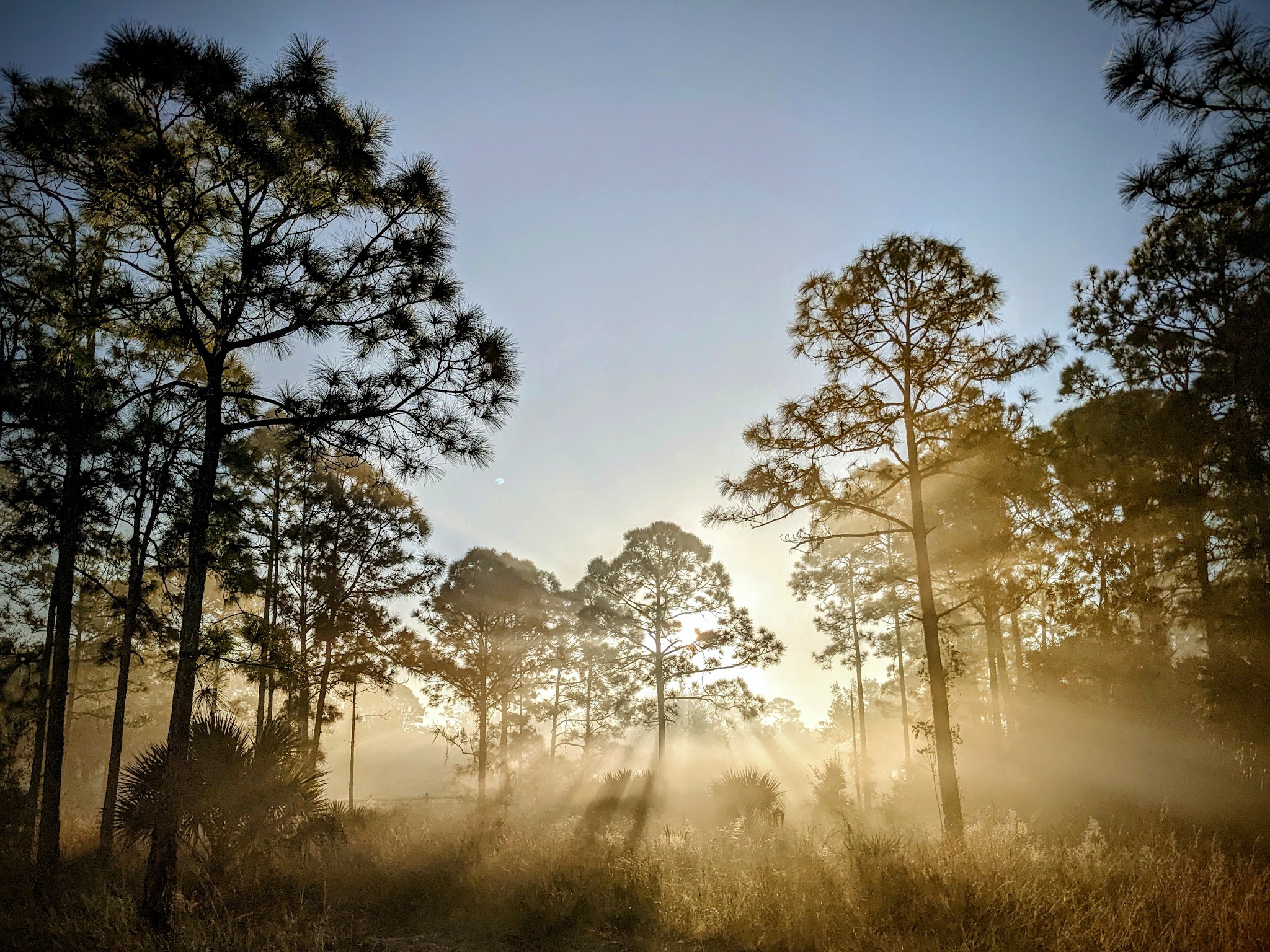 Crestwood Park - Royal Palm Beach, FL