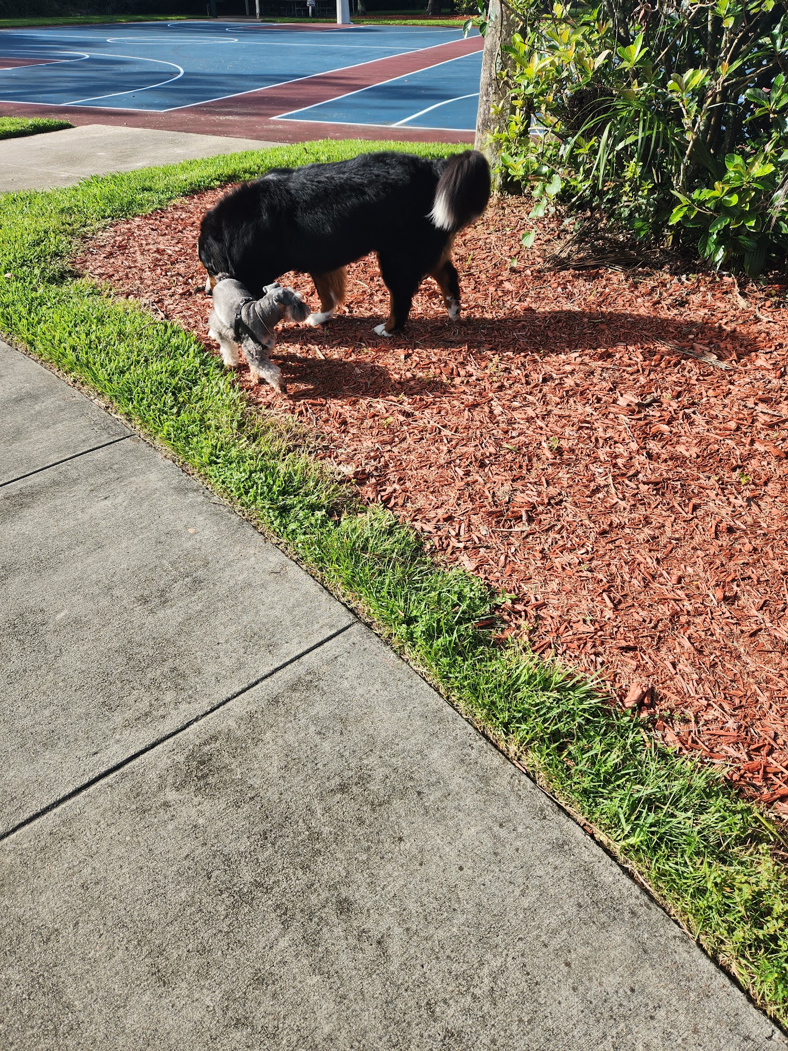 Crestwood Park - Royal Palm Beach, FL