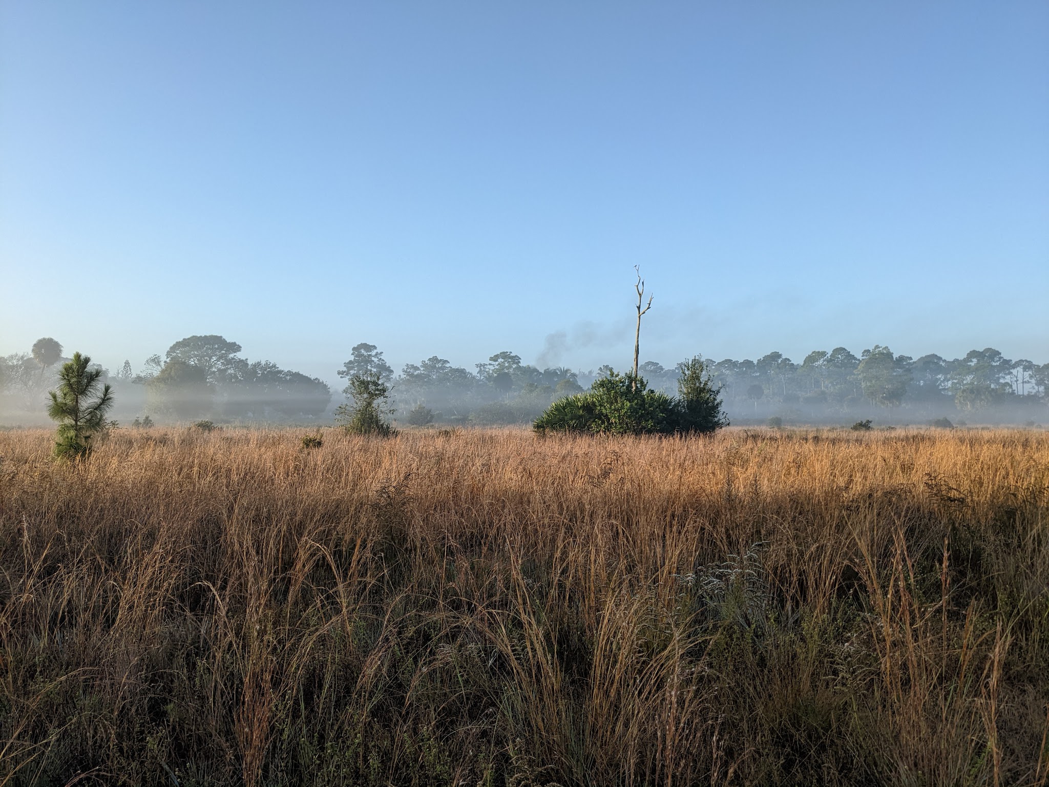 Crestwood Park - Royal Palm Beach, FL