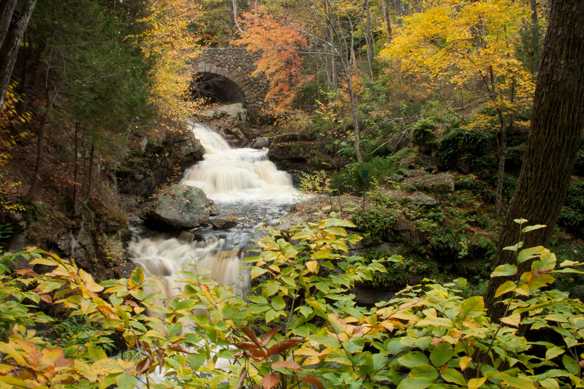 Doane's Falls Reservation - Royalston, MA