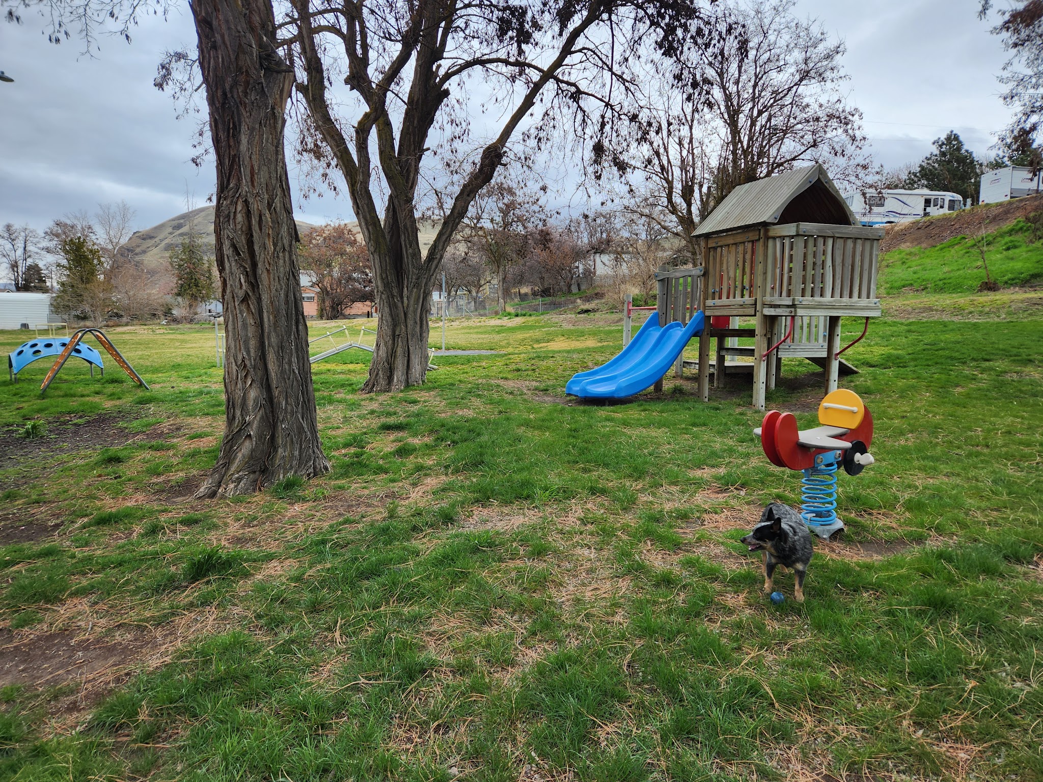 Rufus Dog Park - Rufus, OR