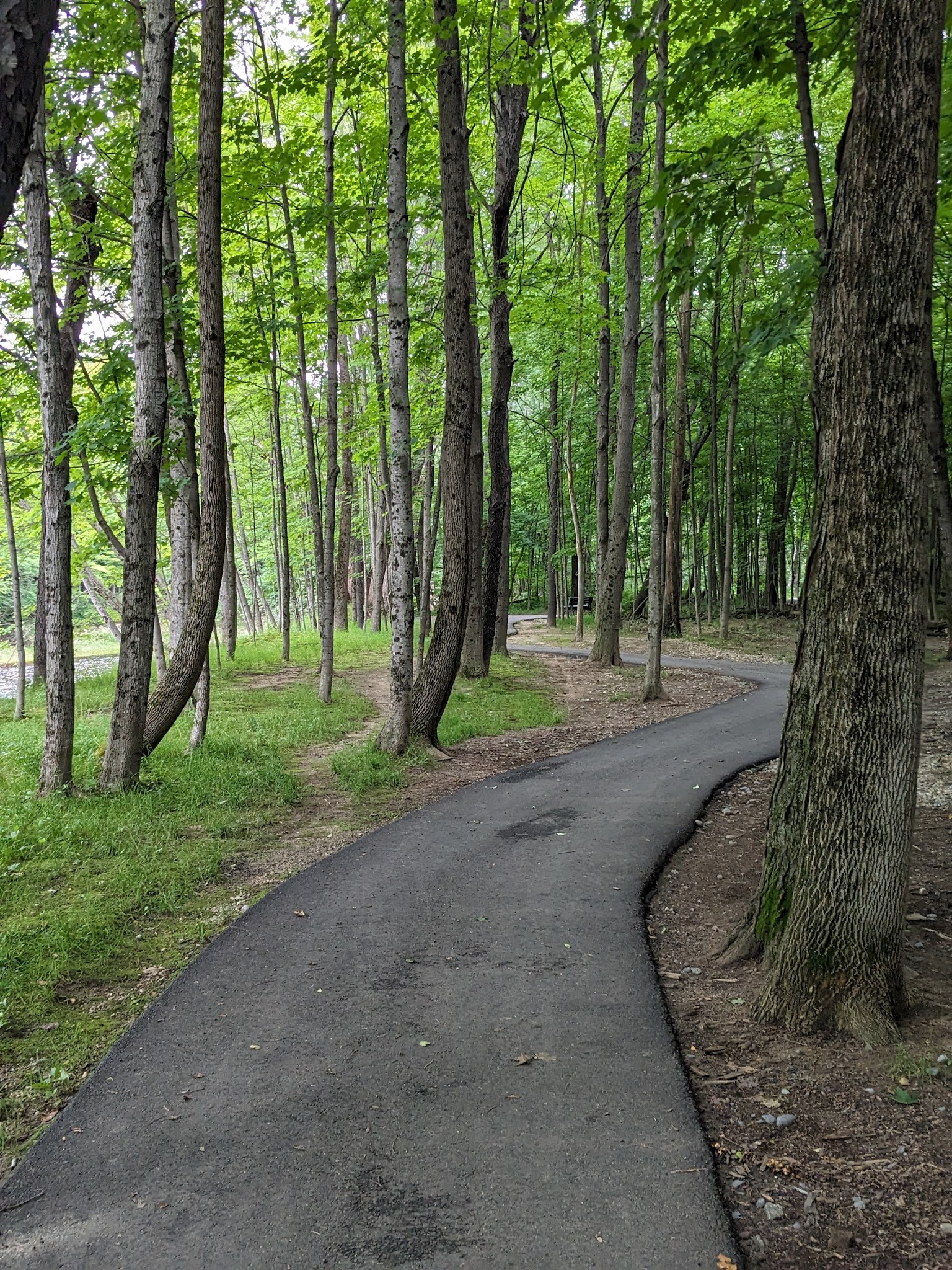Swift River Walking Trail - Rumford, ME