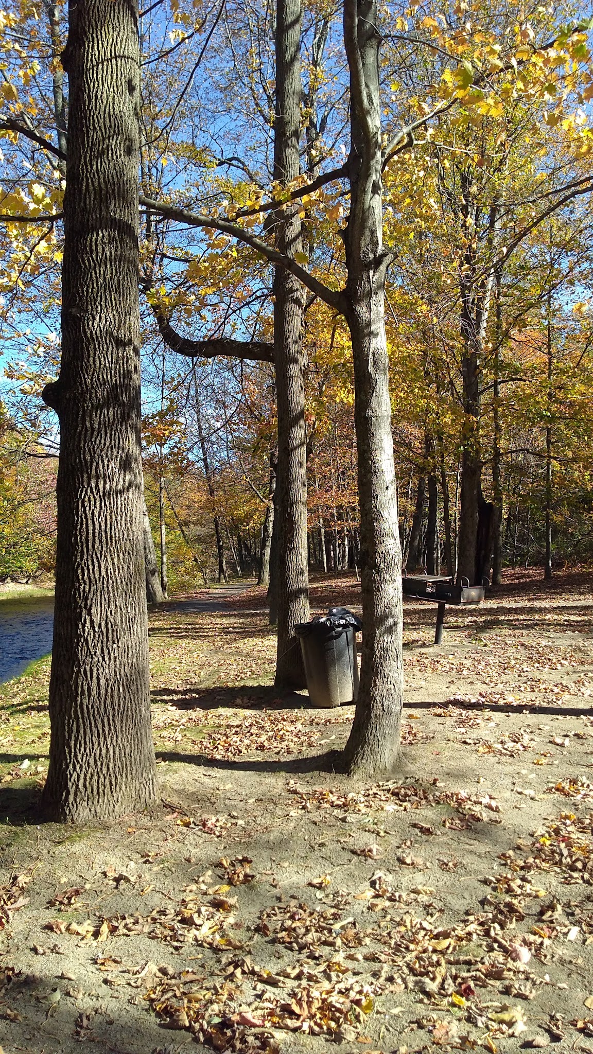 Swift River Walking Trail - Rumford, ME