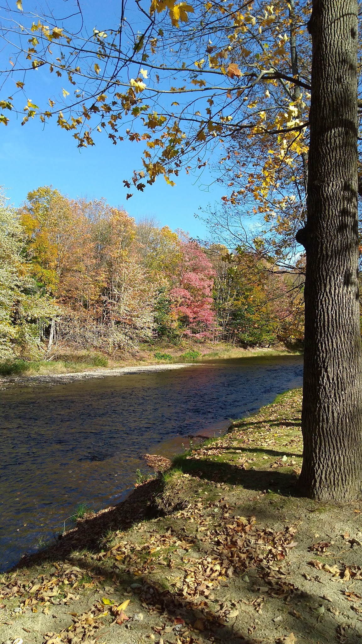 Swift River Walking Trail - Rumford, ME