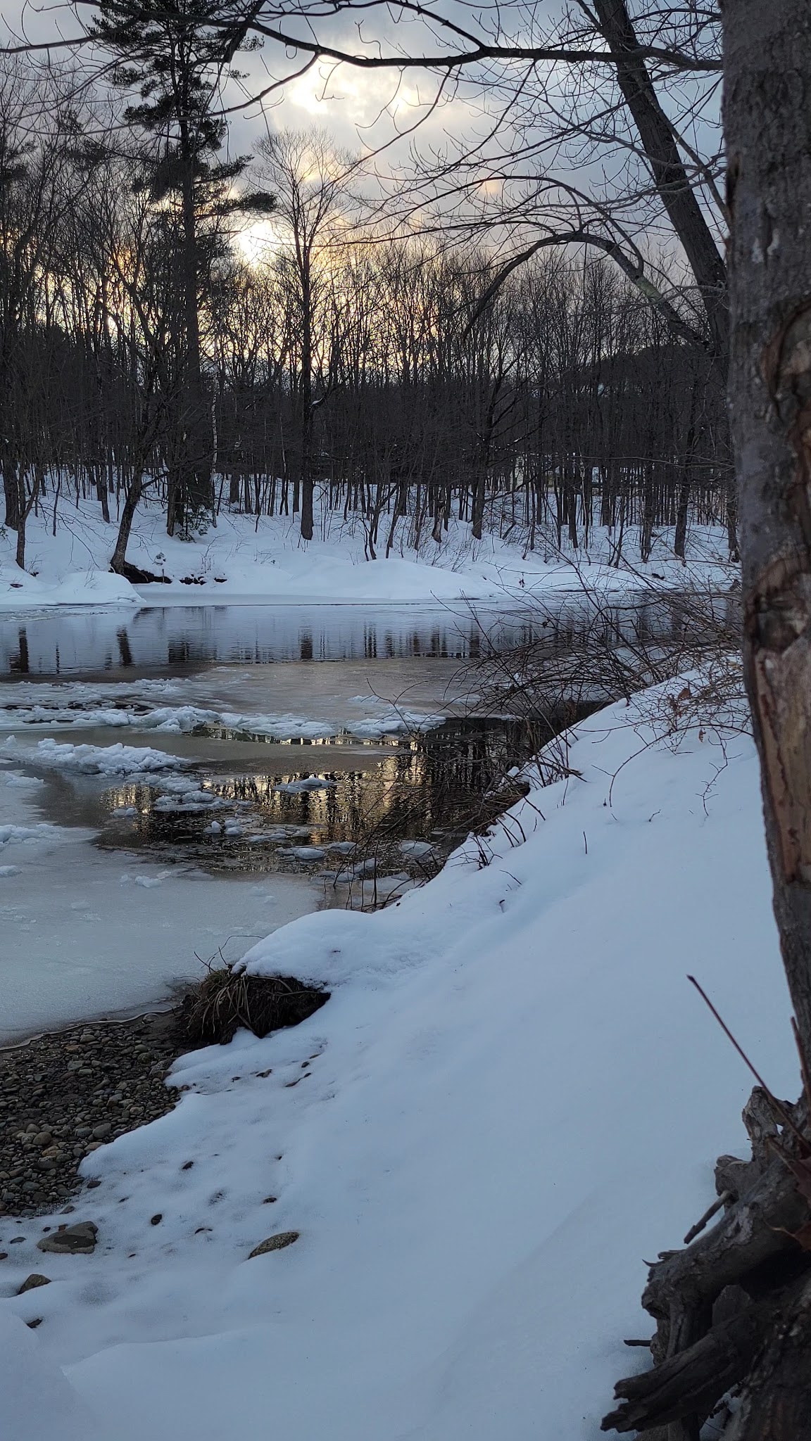 Swift River Walking Trail - Rumford, ME