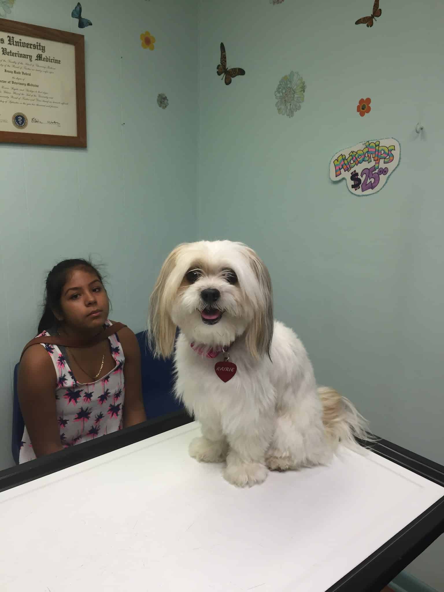 Animal Hospital Of Rutherford - Rutherford, NJ