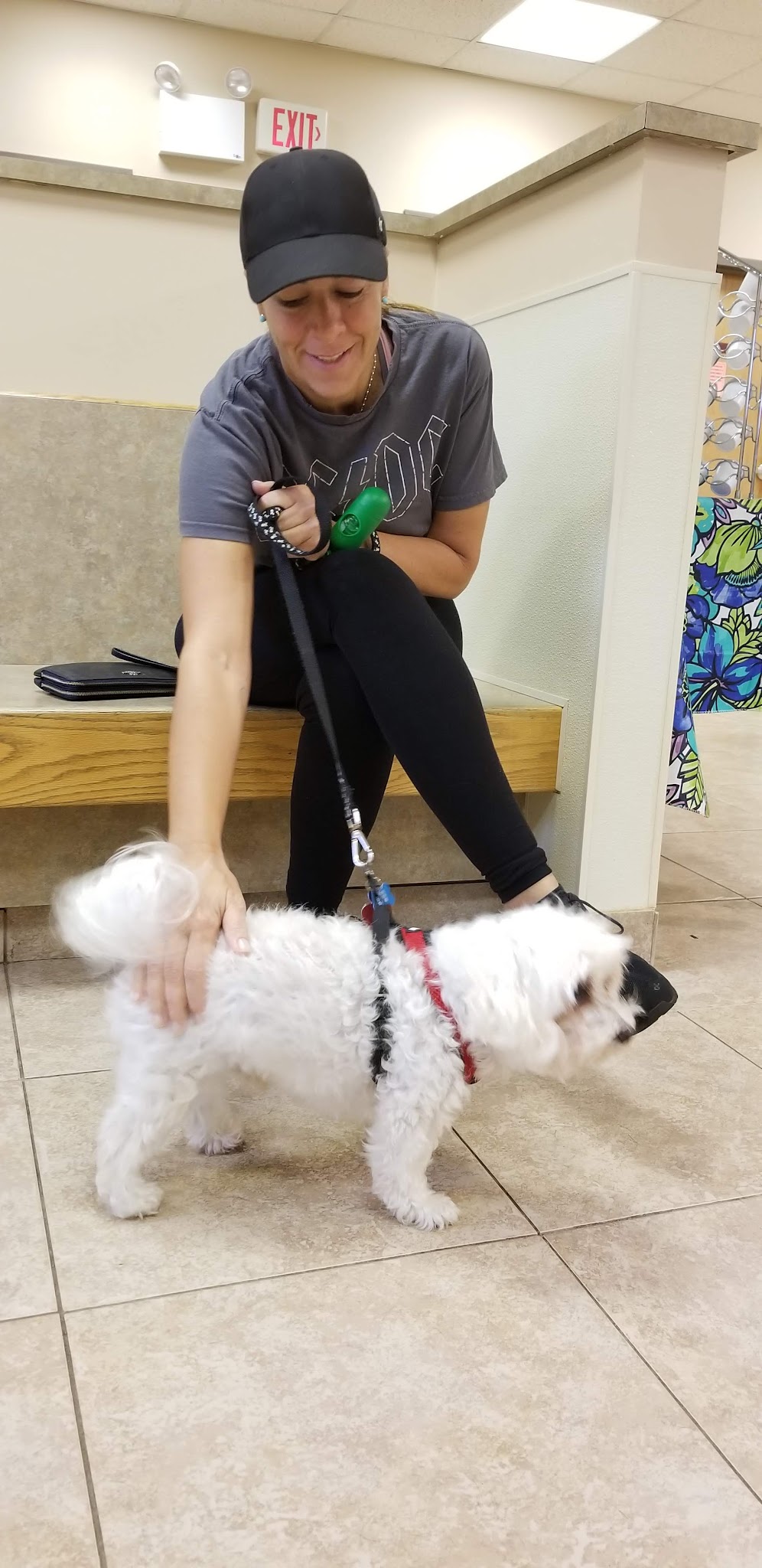 VCA Rutherford Animal Hospital - Rutherford, NJ