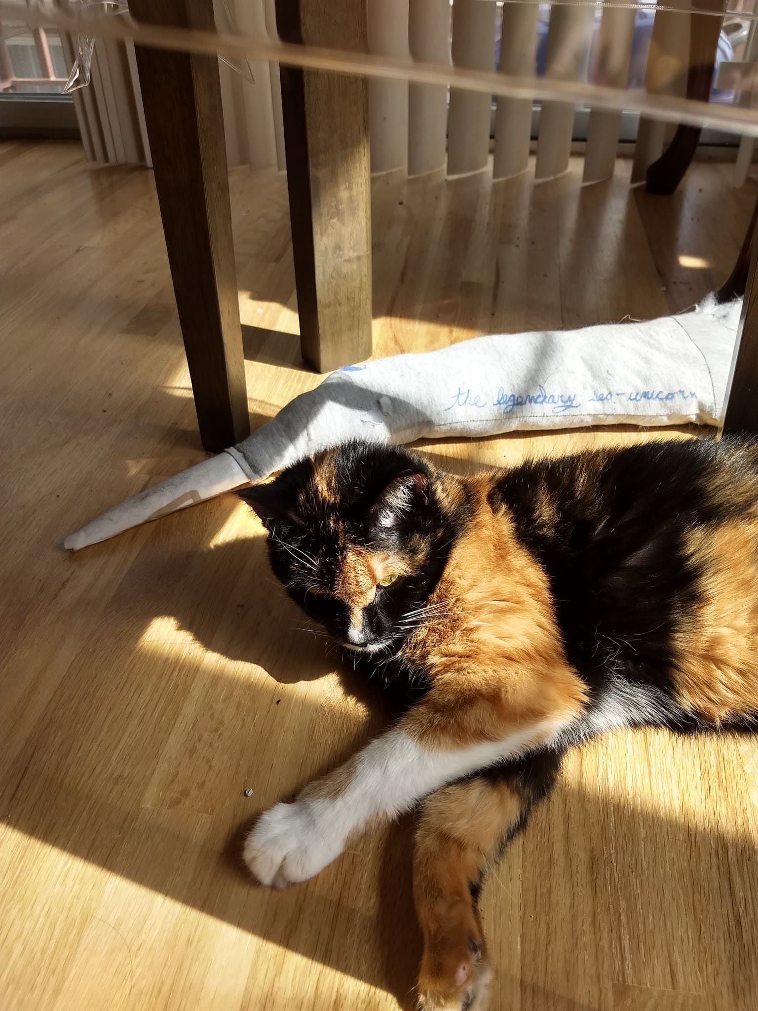 VCA Rutherford Animal Hospital - Rutherford, NJ