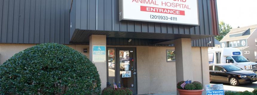 VCA Rutherford Animal Hospital - Rutherford, NJ