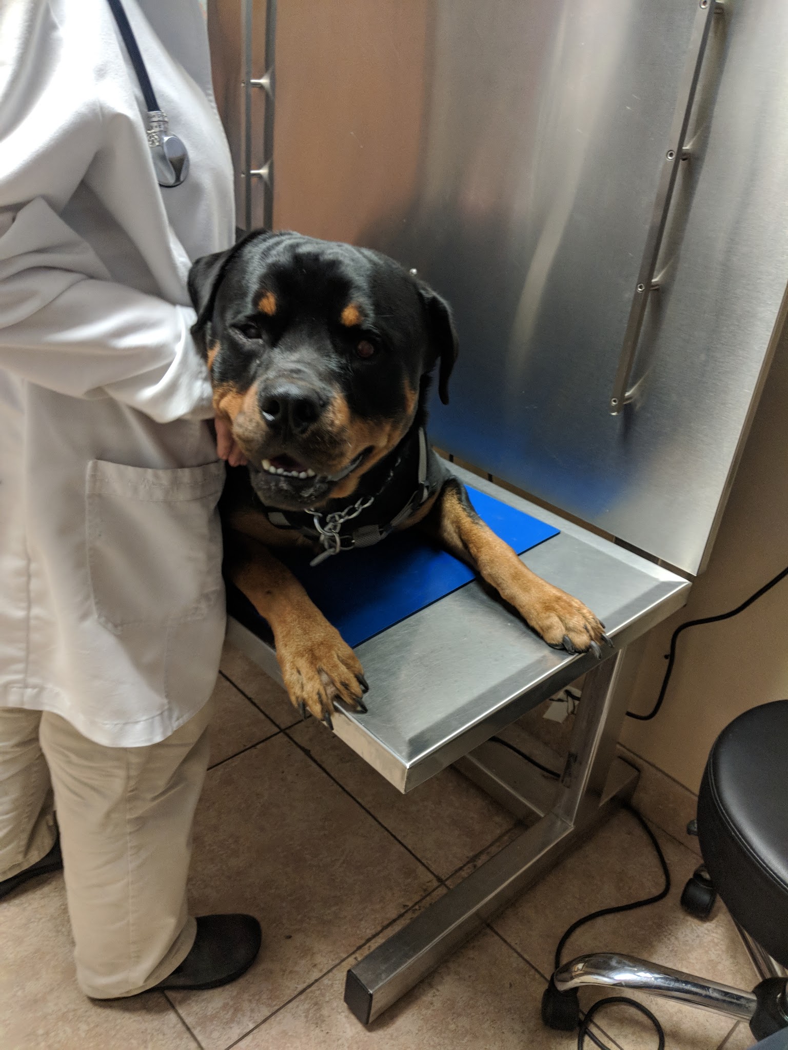 VCA Rutherford Animal Hospital - Rutherford, NJ