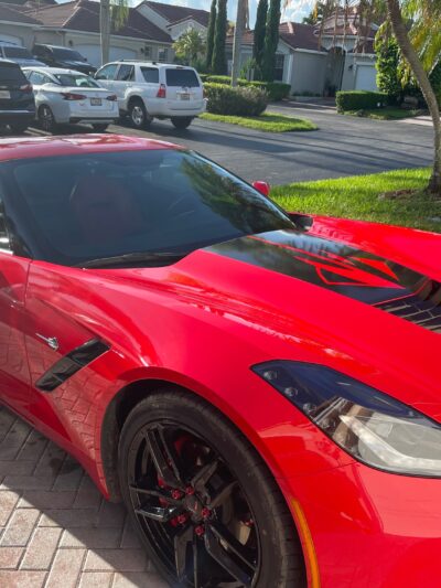 VITESSE MOTORSPORTS - Rutherford, NJ