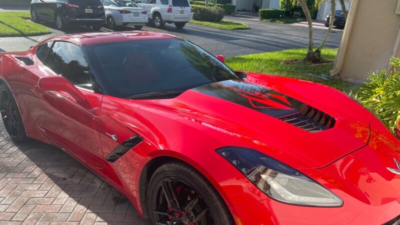 VITESSE MOTORSPORTS - Rutherford, NJ