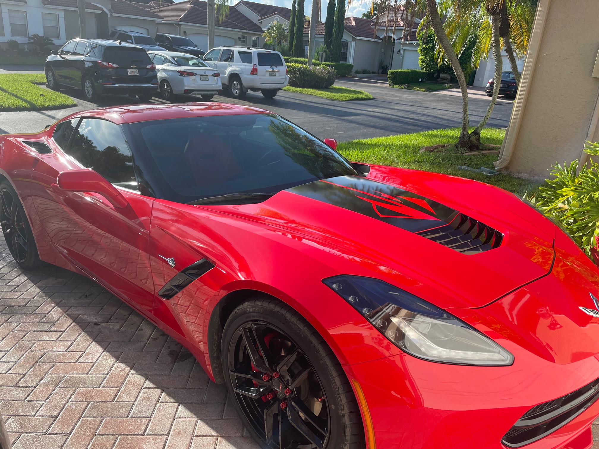VITESSE MOTORSPORTS - Rutherford, NJ