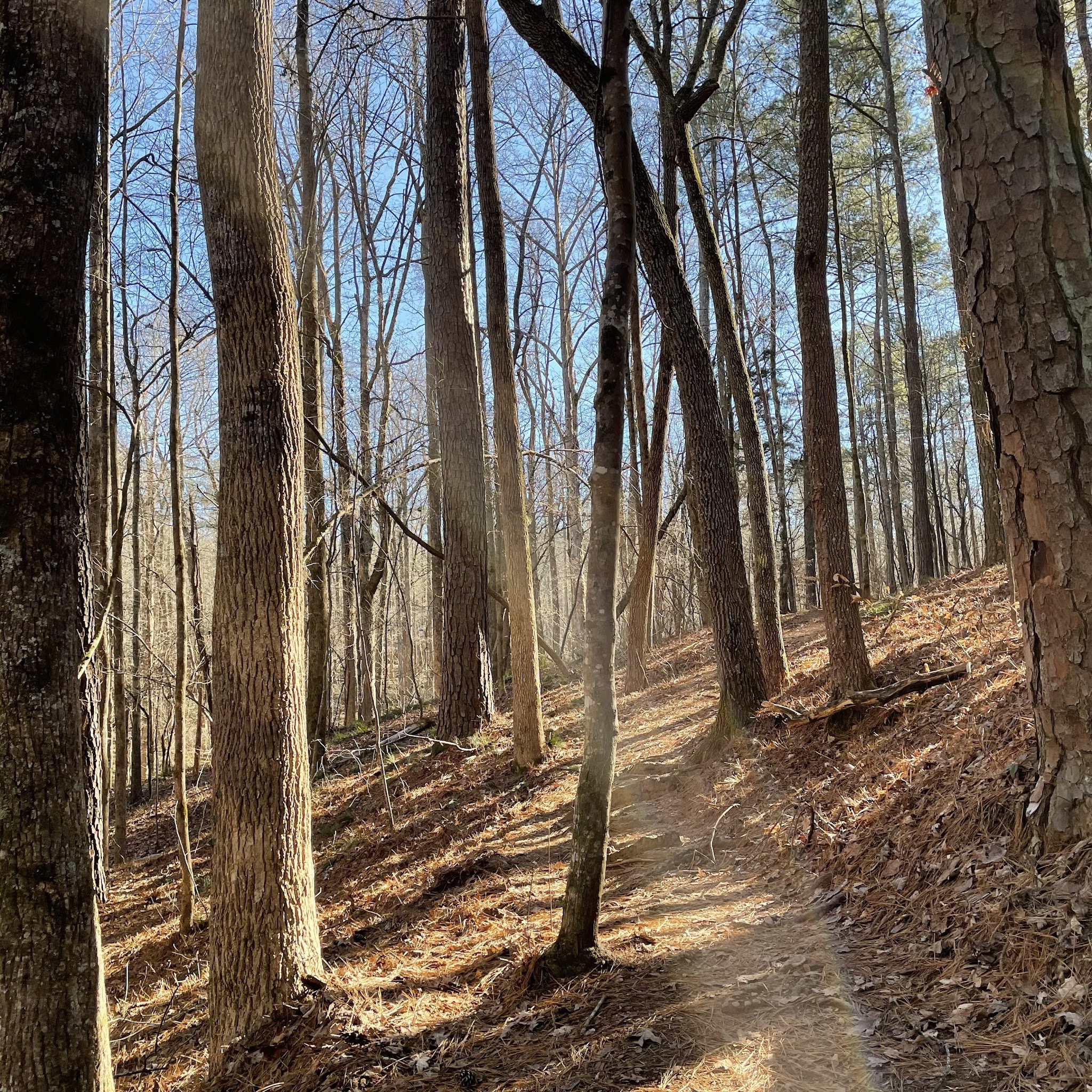 Hard Labor Creek State Park - Rutledge, GA