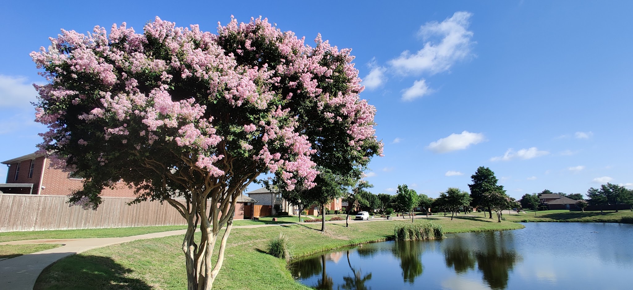 Dave Sanford Park - Sachse, TX