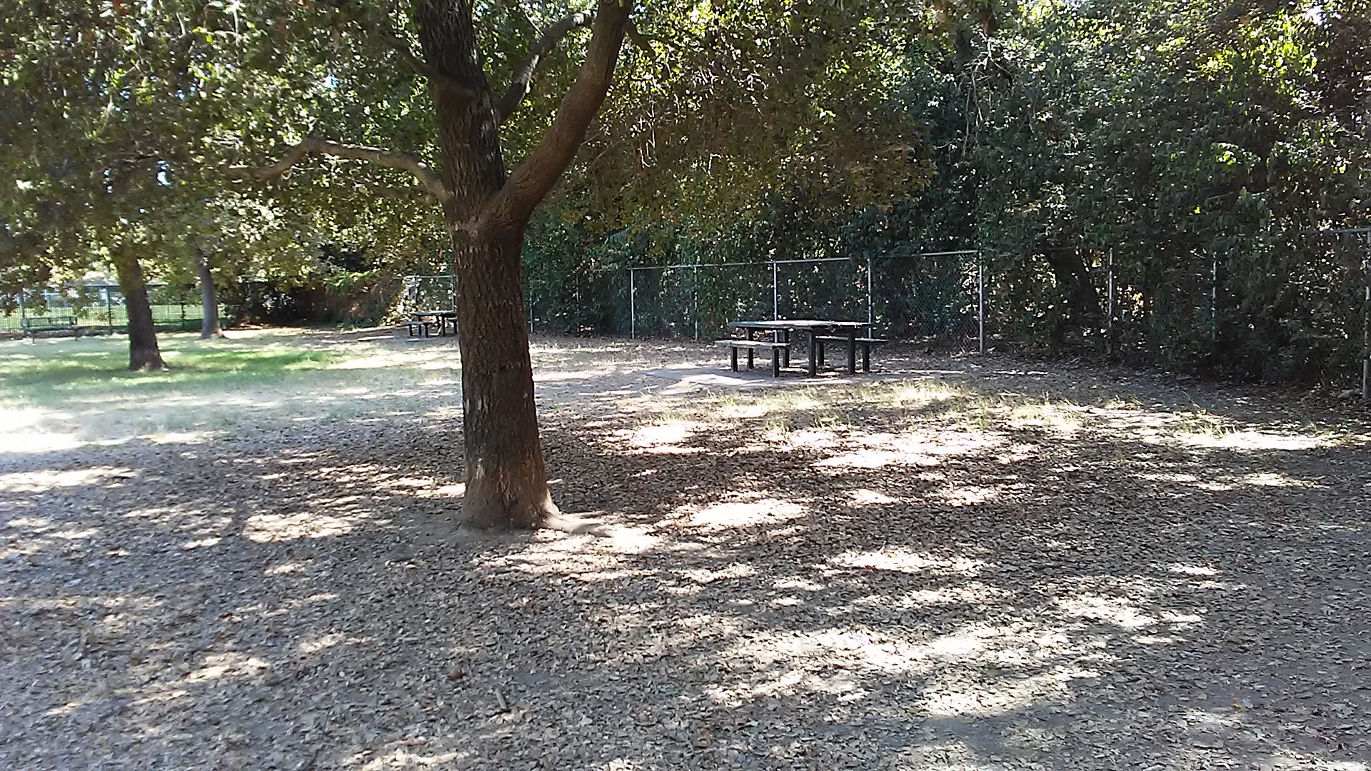 Bannon Creek Dog Park - Sacramento, CA