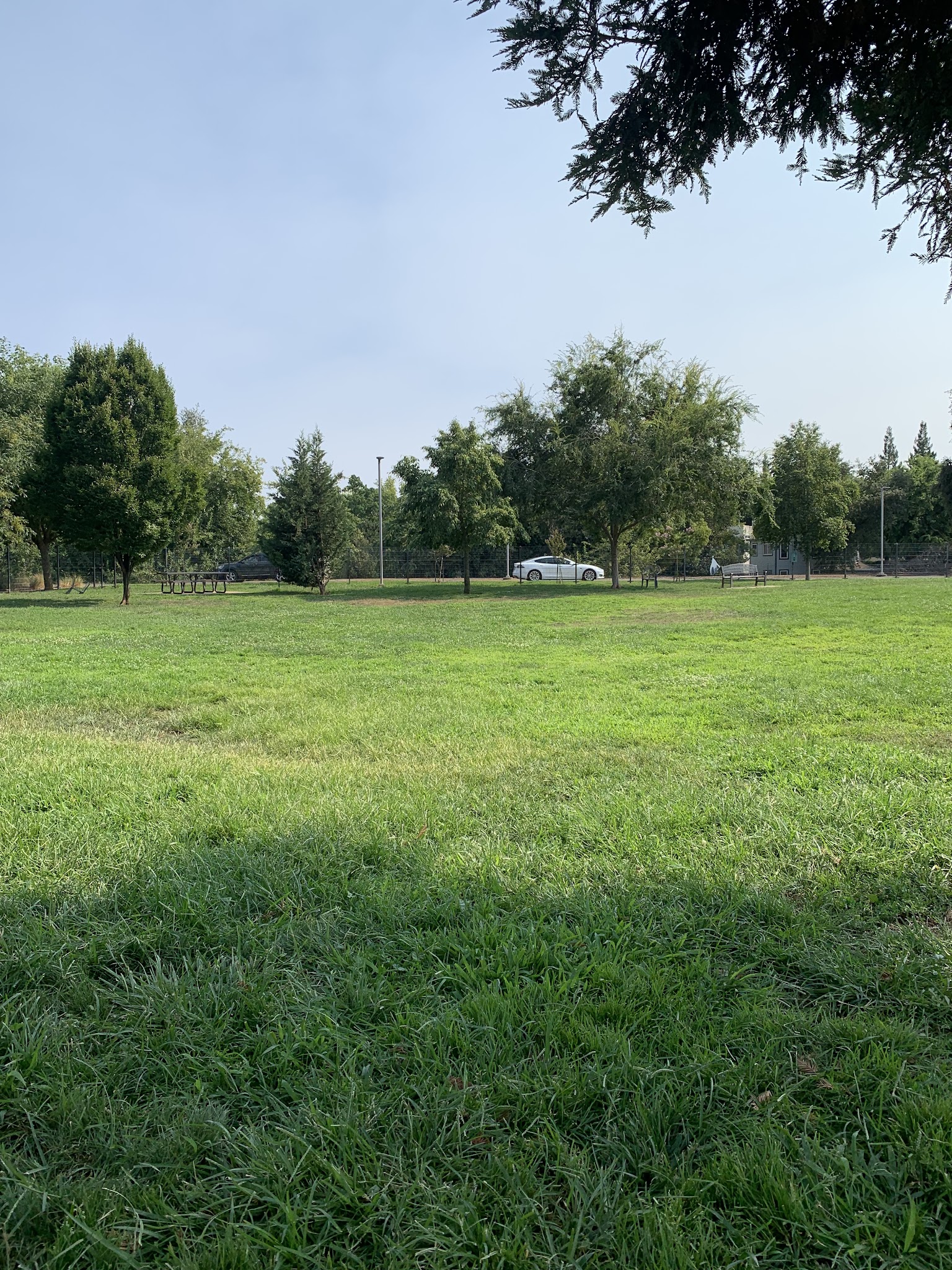 Bradshaw Off leash Dog park - Sacramento, CA