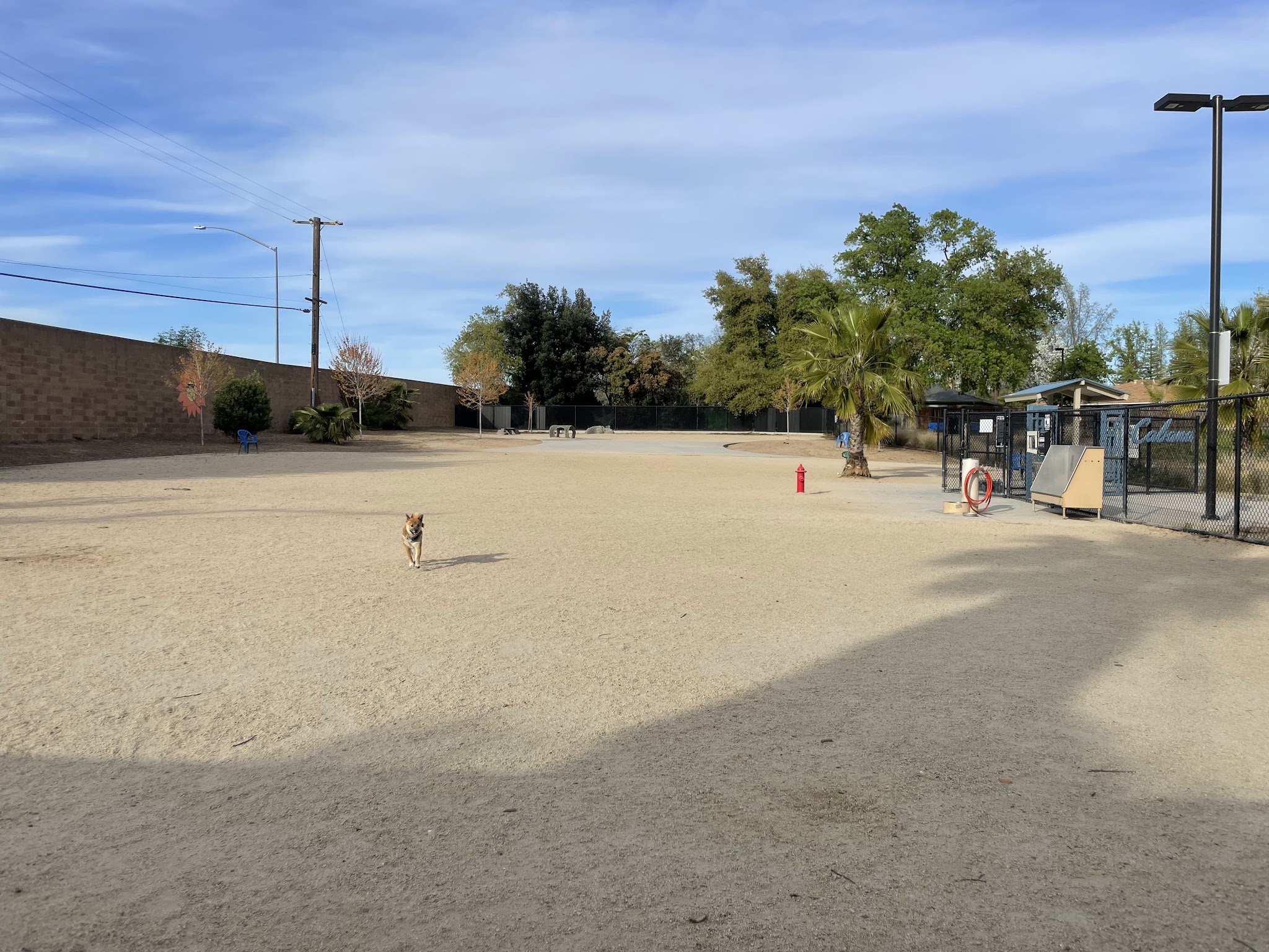 Cabana Dog Park - Sacramento, CA