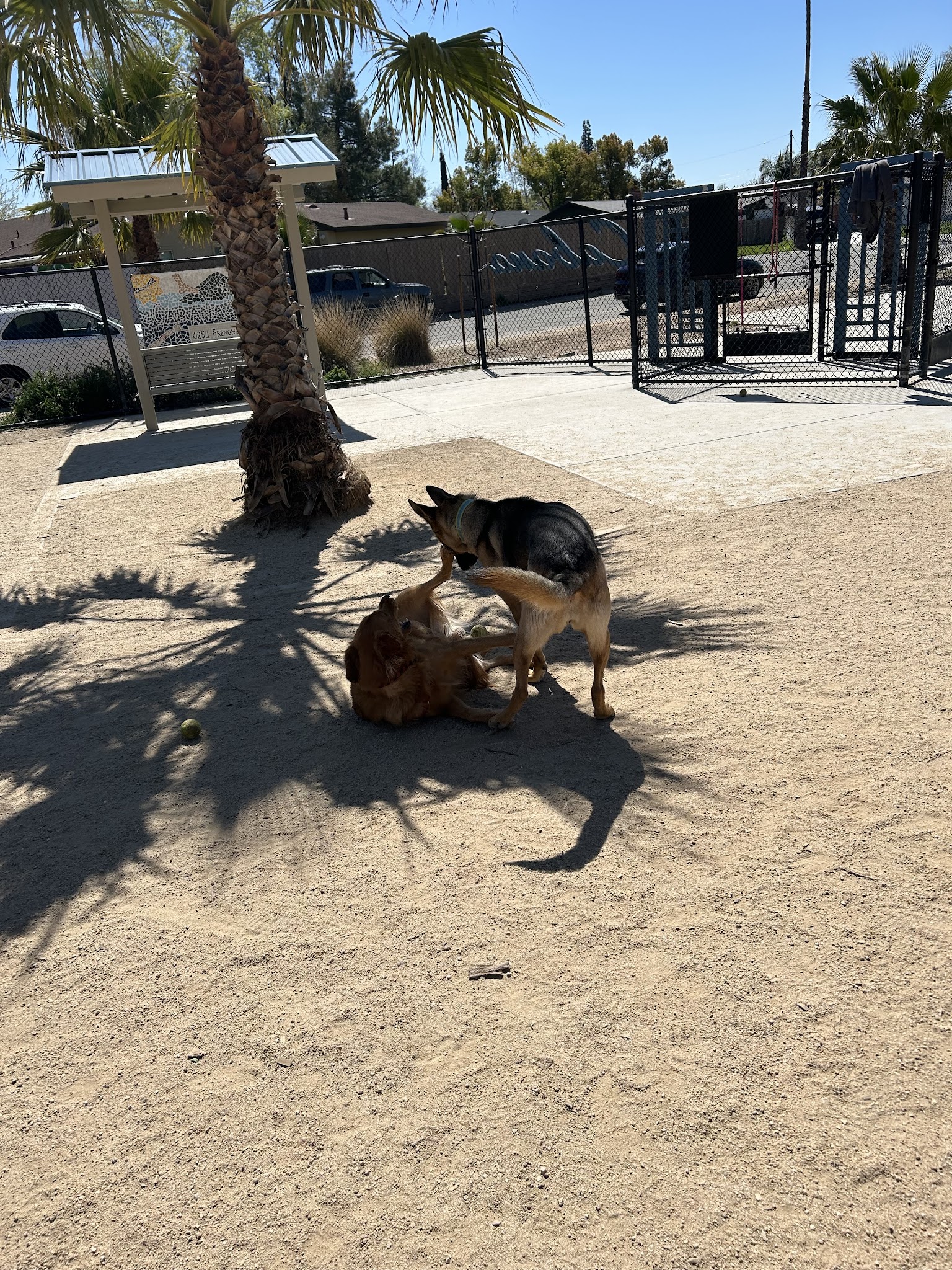 Cabana Dog Park - Sacramento, CA