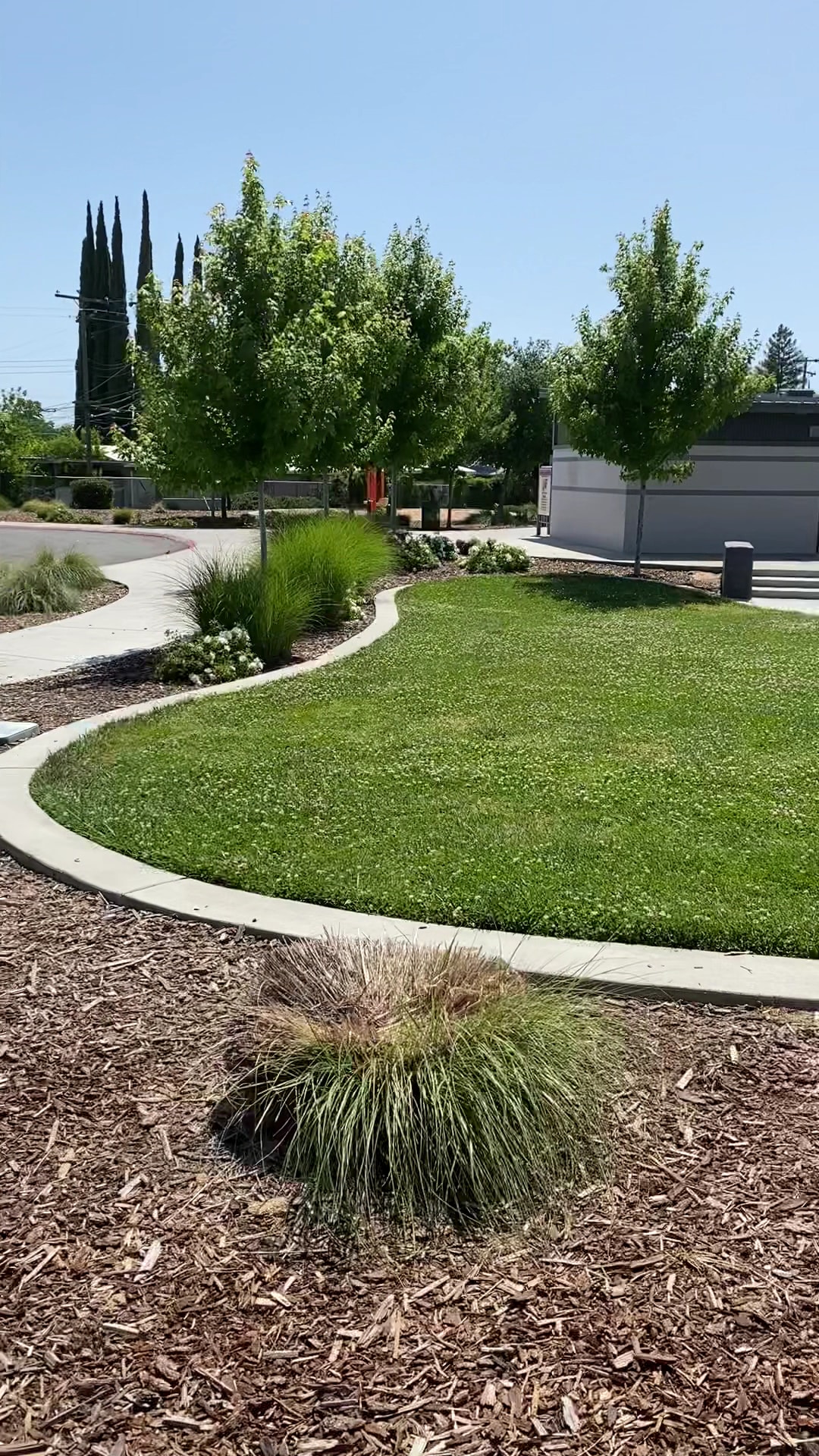 Eastern oak park - dog park - Sacramento, CA