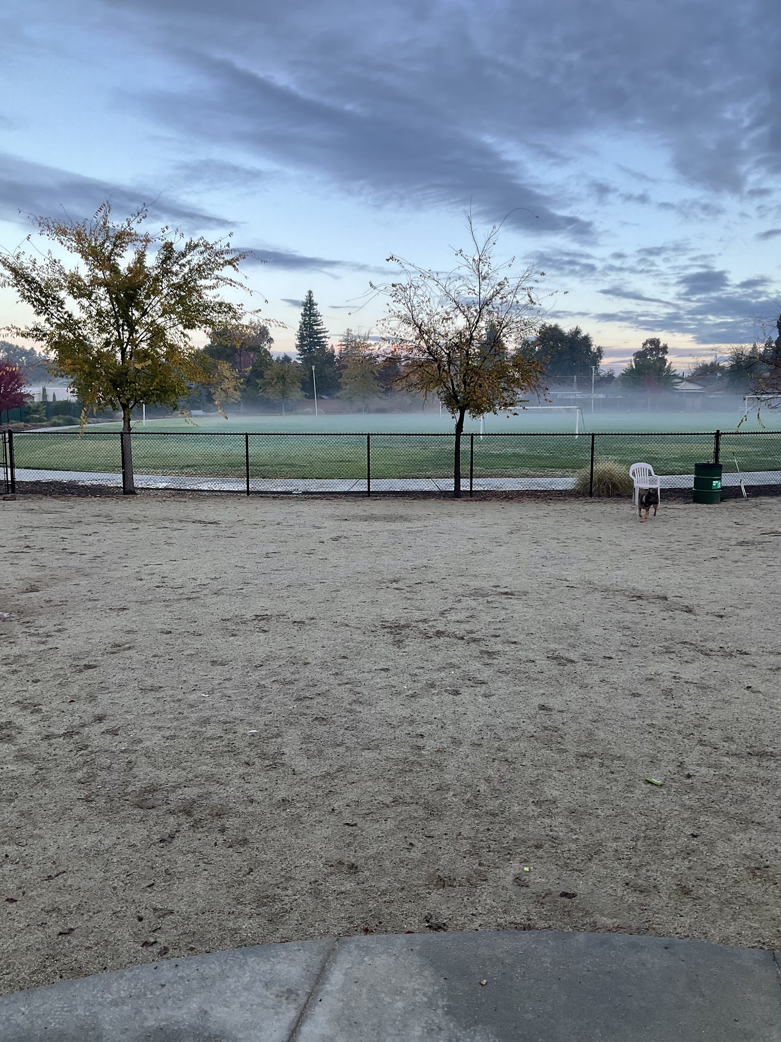 Eastern oak park - dog park - Sacramento, CA