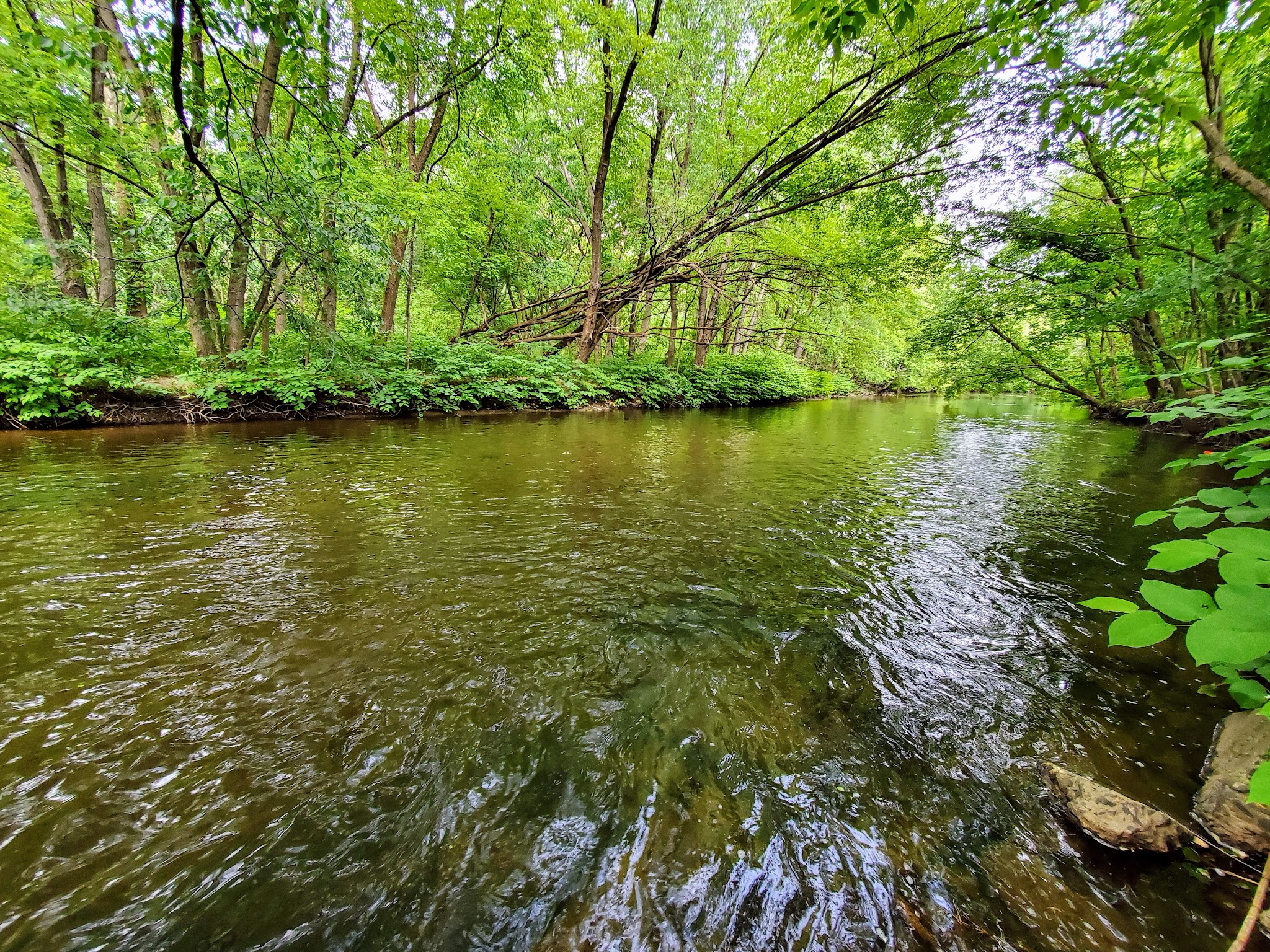 Saddle River Bike Path Parking 2 - Saddle Brook, NJ