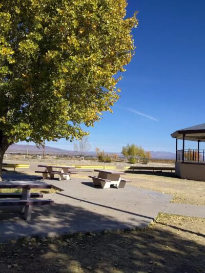 Duck Pond - Safford, AZ