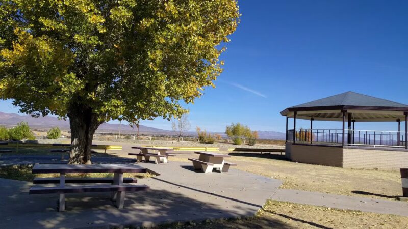 Duck Pond - Safford, AZ
