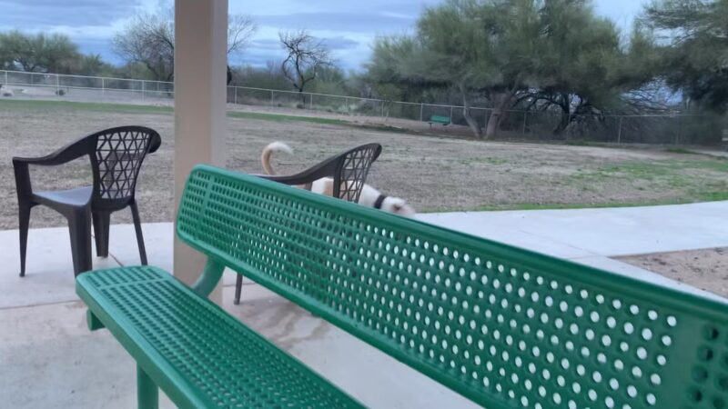 Anamax Dog Park - Sahuarita, AZ