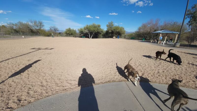 Anamax Dog Park - Sahuarita, AZ