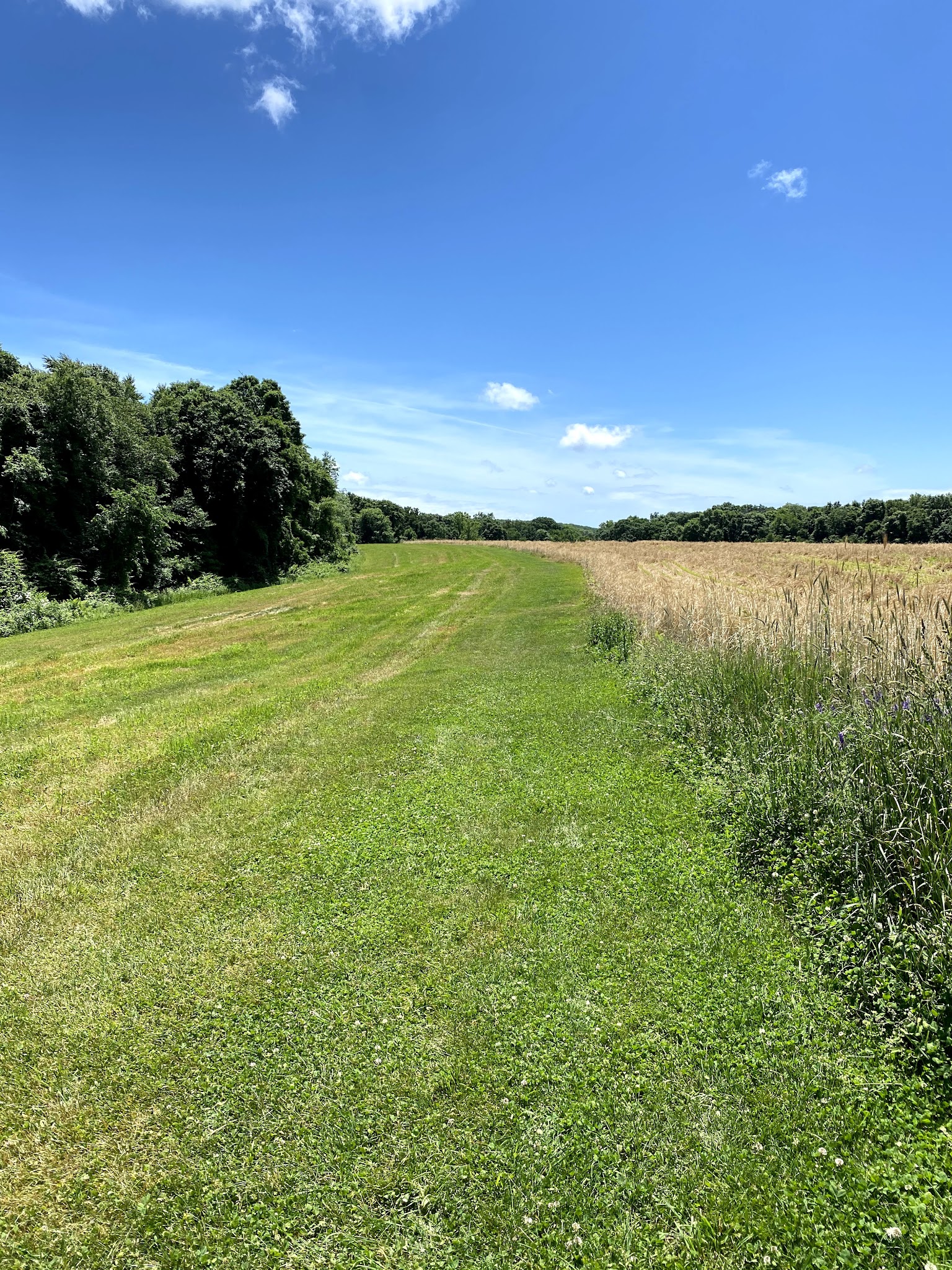 Salem Community Park - Salem, CT
