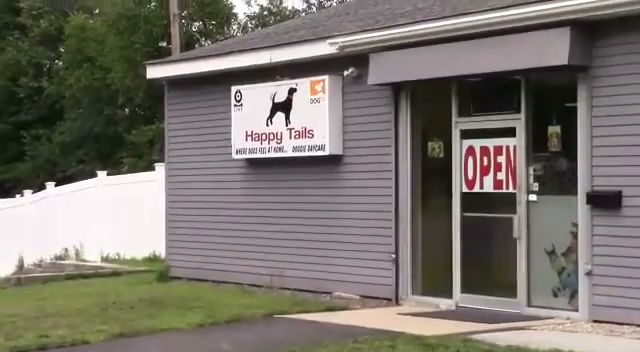 Happy Tails Home - Salem, NH