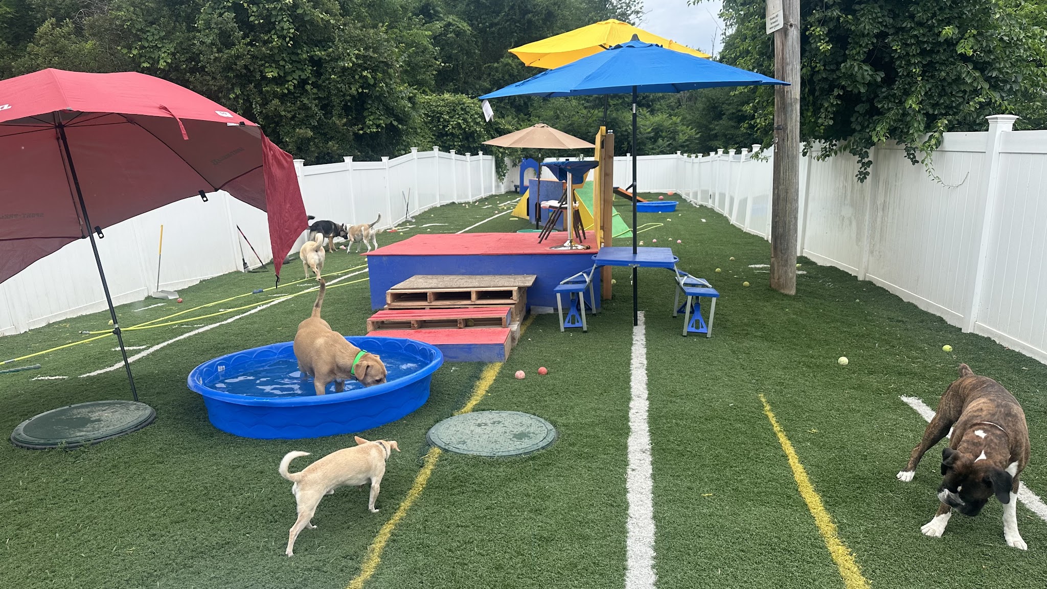 Happy Tails Home - Salem, NH