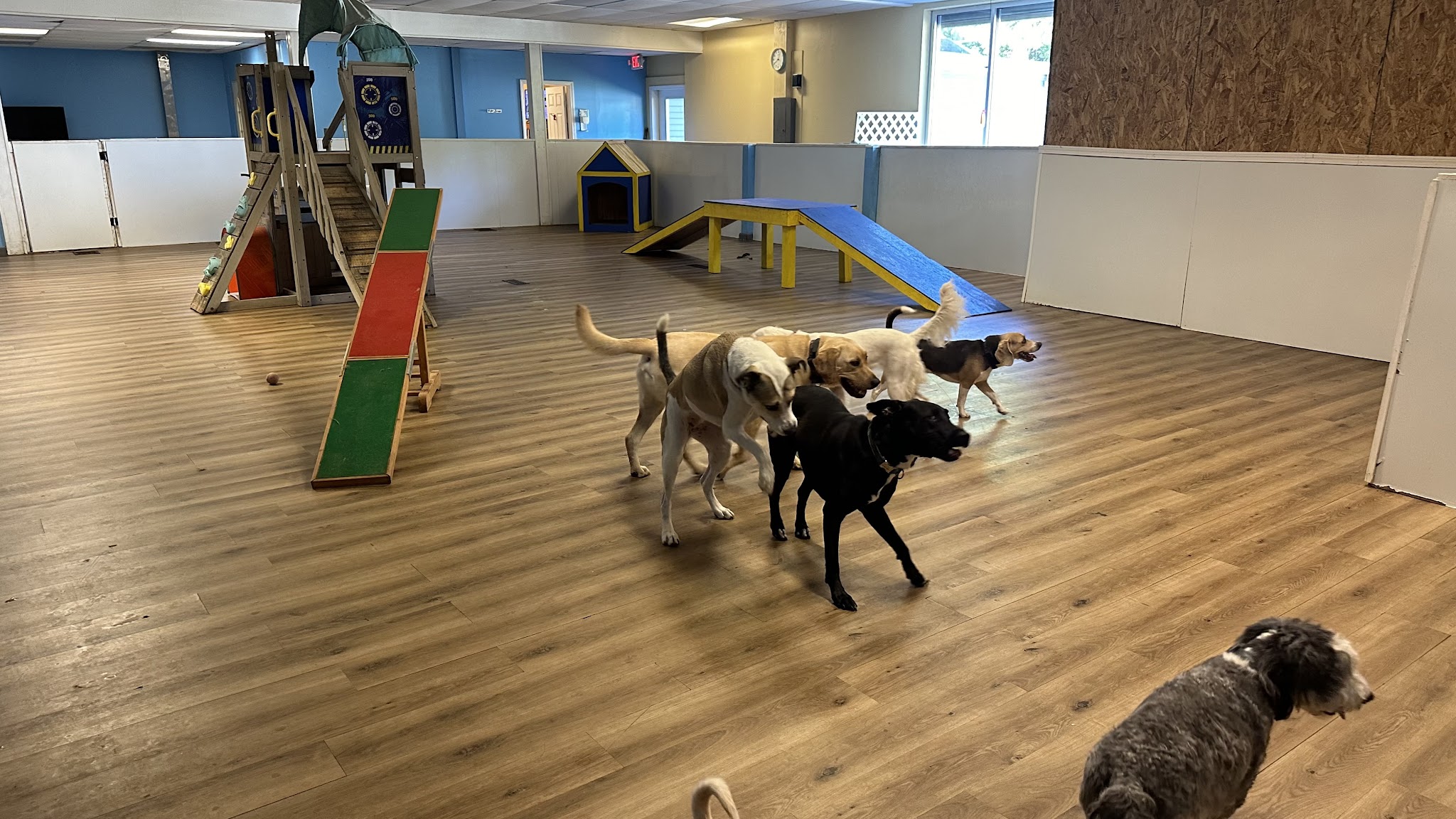 Happy Tails Home - Salem, NH