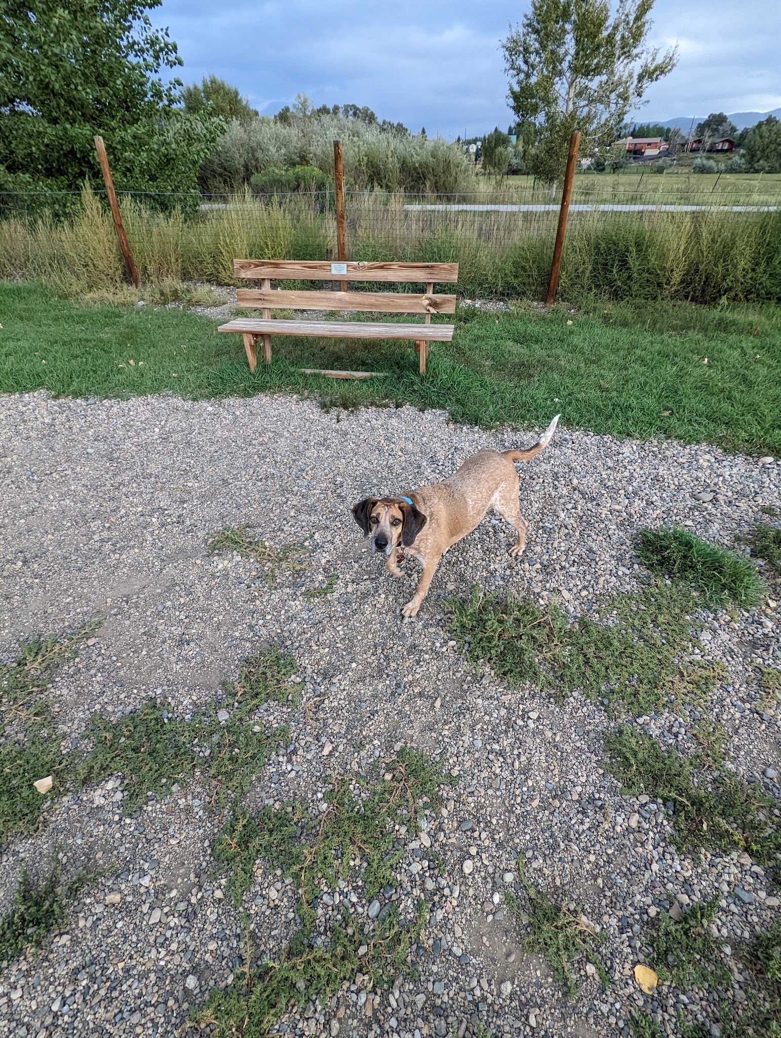 Dog Park - Salida, CO