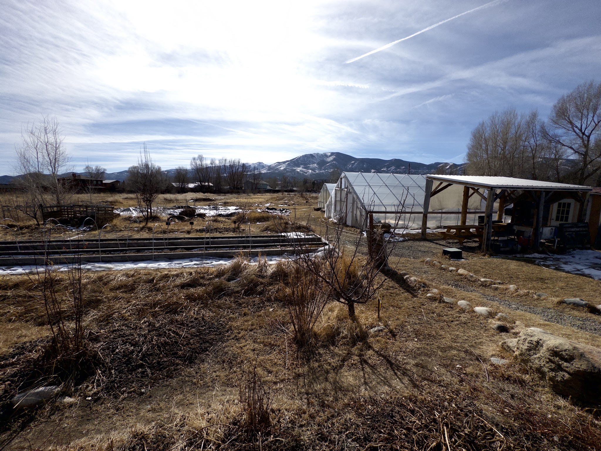 Loyal Duke's Dog Park - Salida, CO